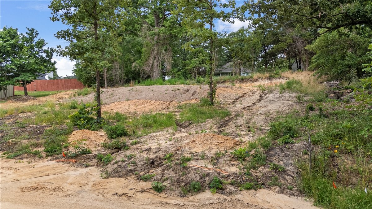 226 County Road 2267 Mineola TX 75773