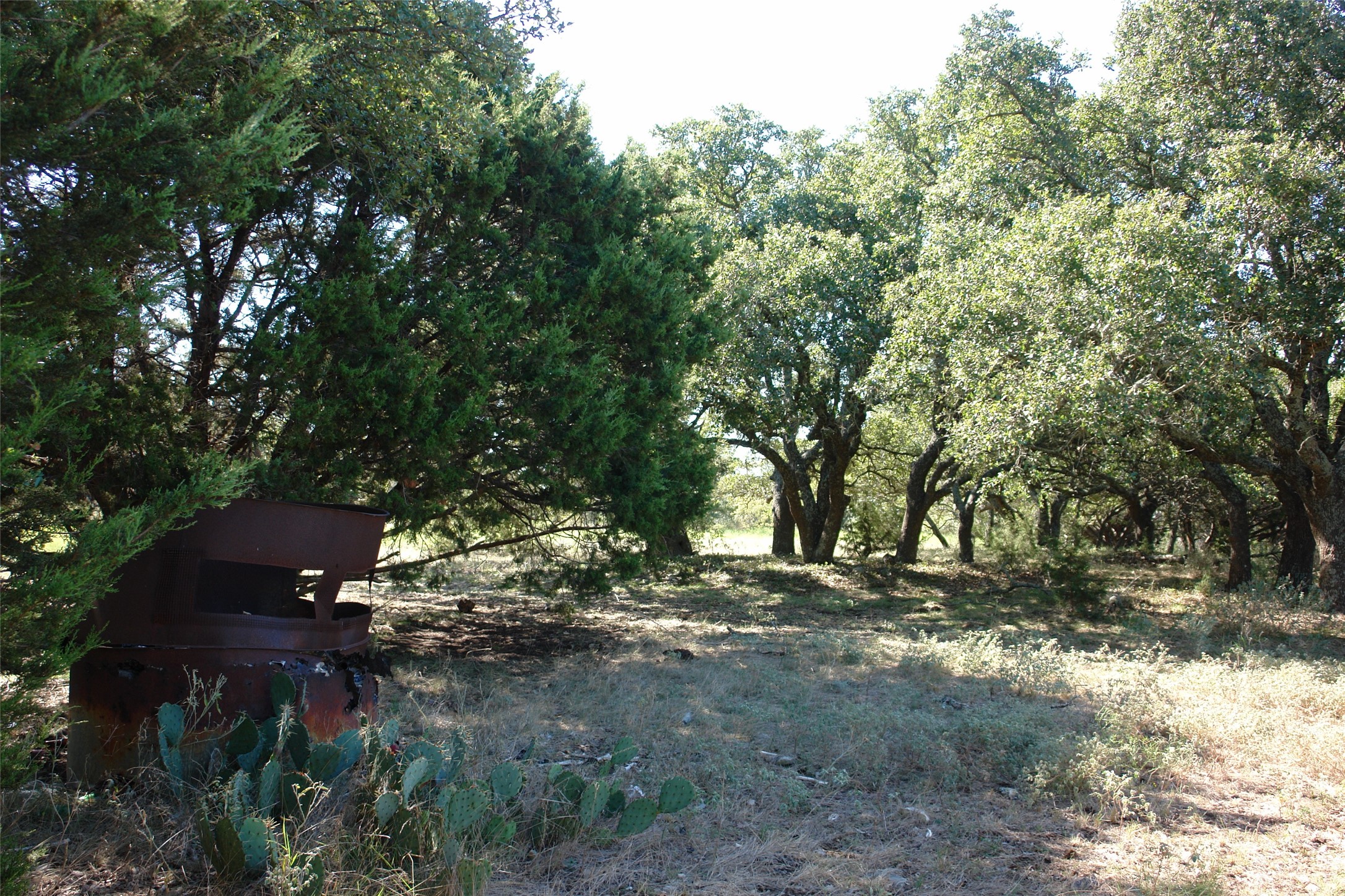 131 County Road 317 Goldthwaite TX 76844