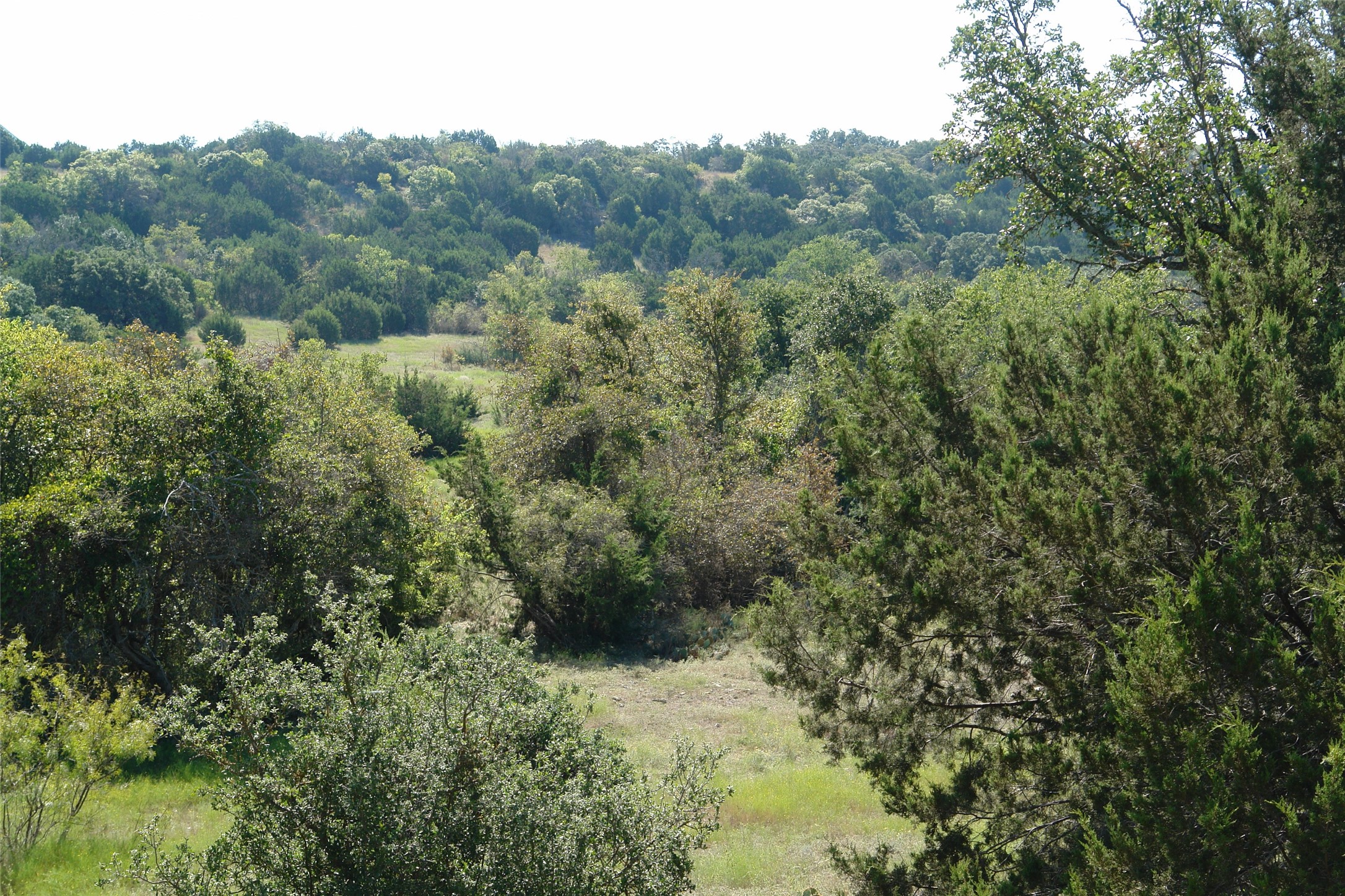 131 County Road 317 Goldthwaite TX 76844