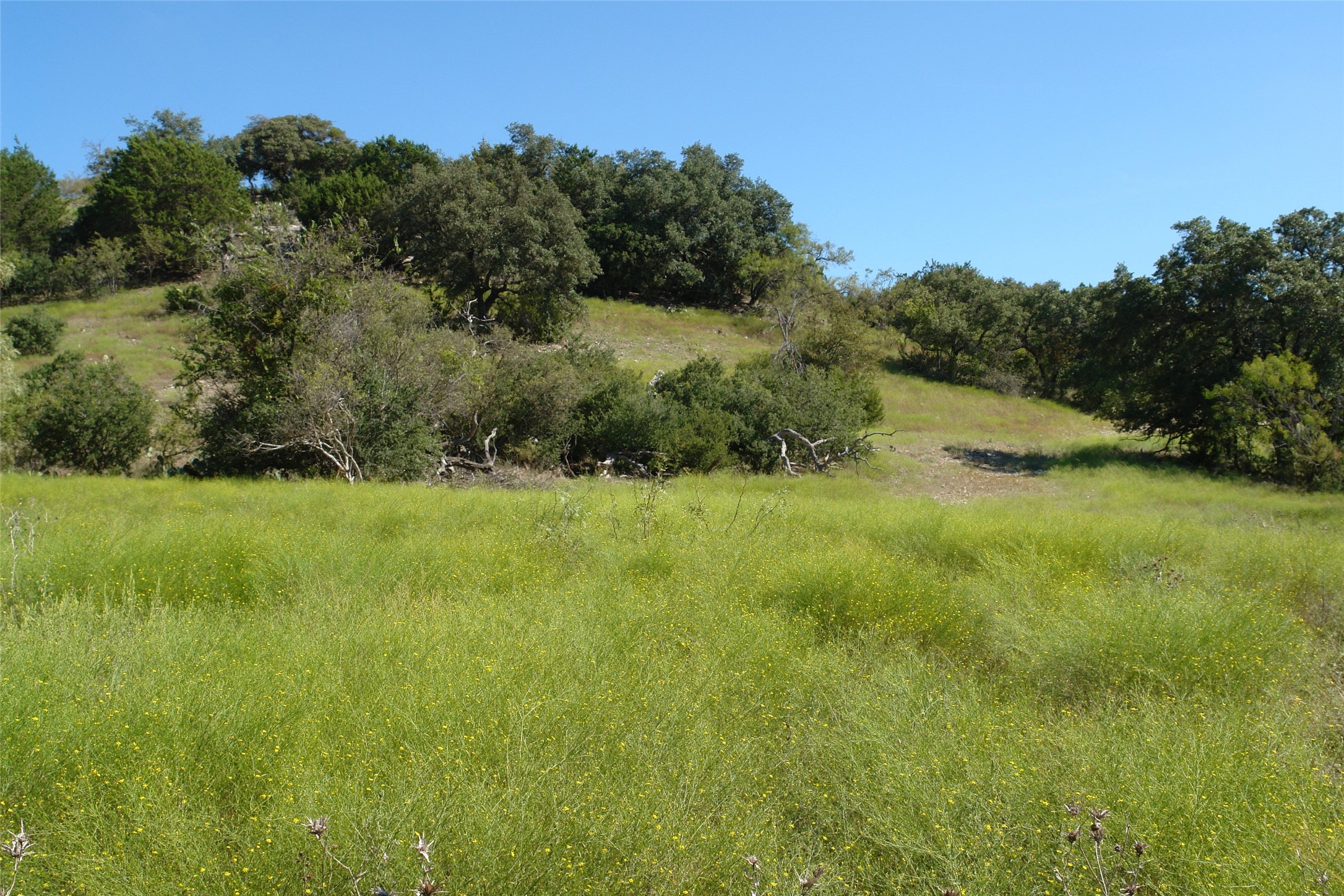 131 County Road 317 Goldthwaite TX 76844
