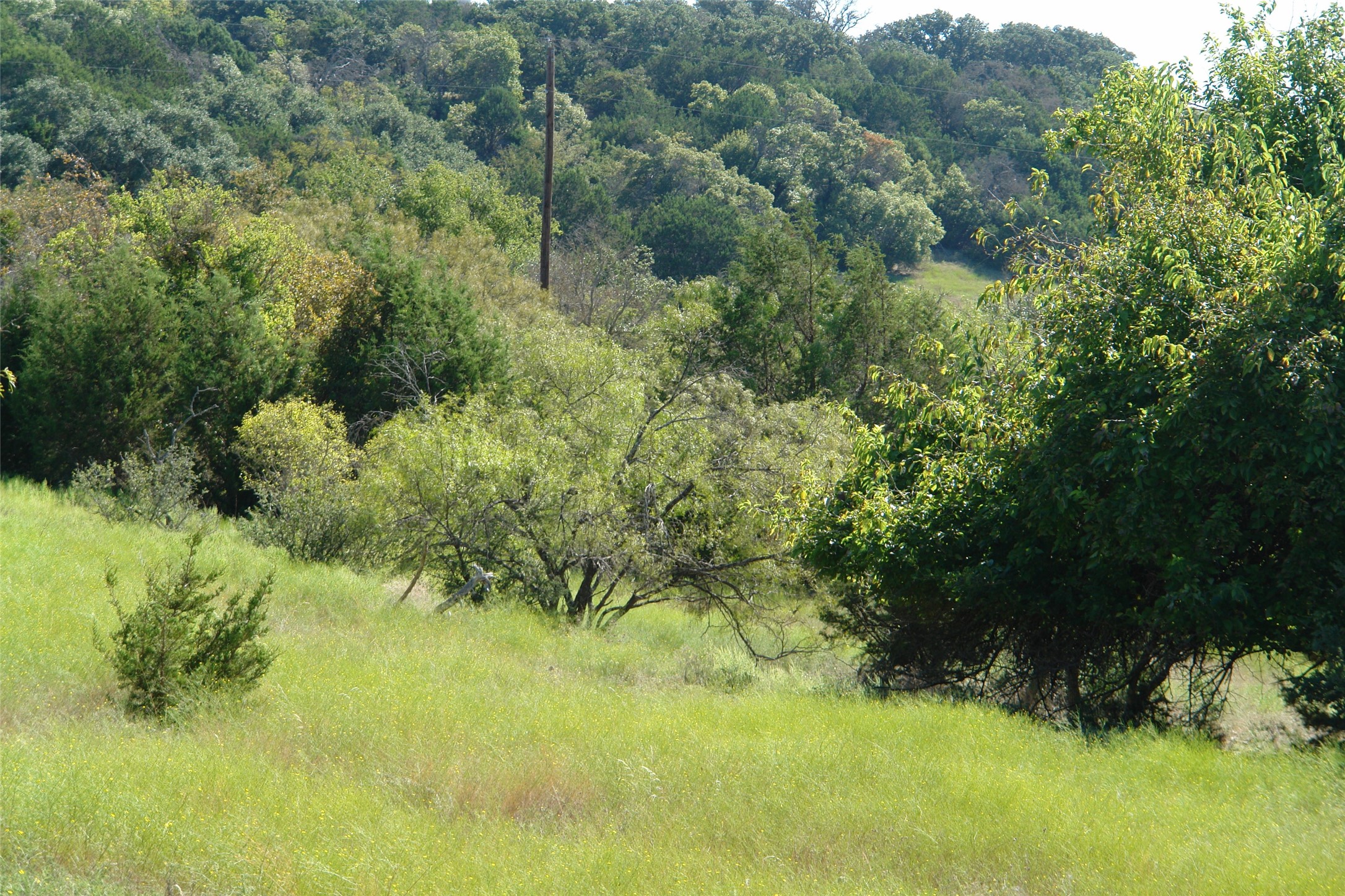 131 County Road 317 Goldthwaite TX 76844