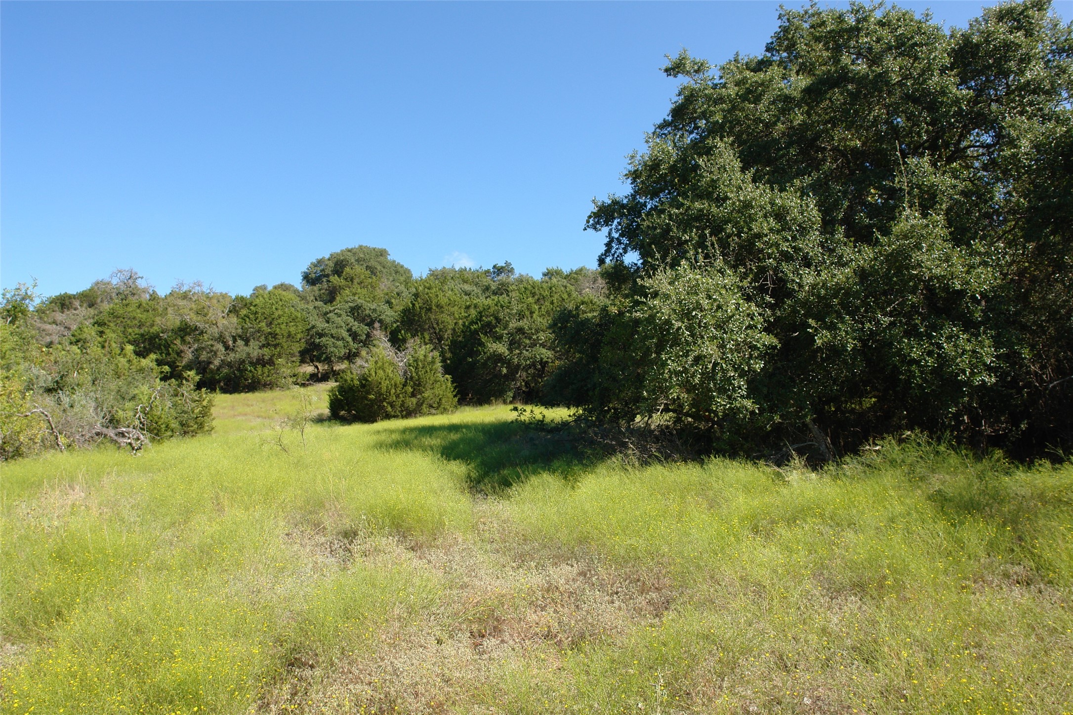 131 County Road 317 Goldthwaite TX 76844