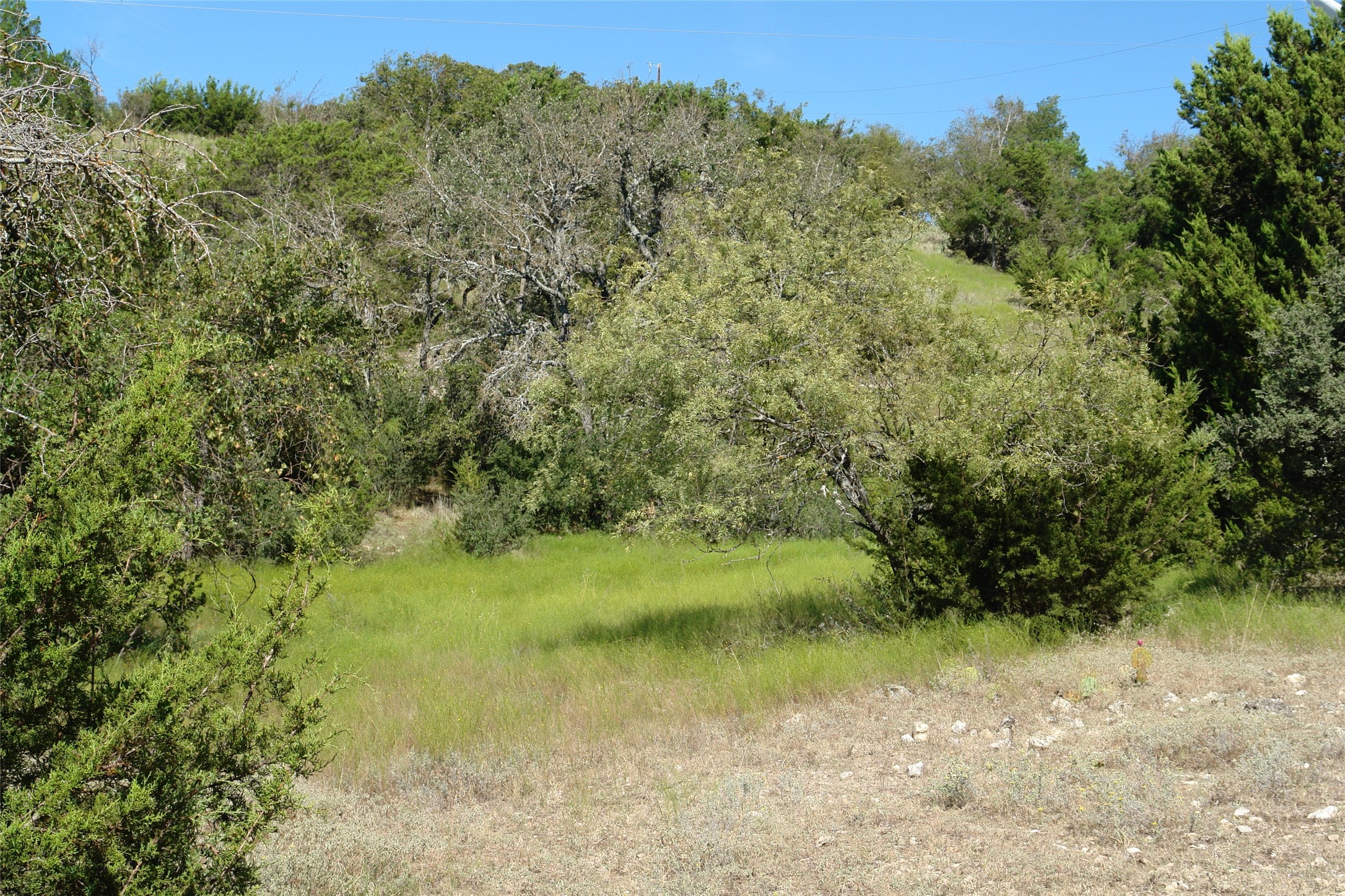 131 County Road 317 Goldthwaite TX 76844