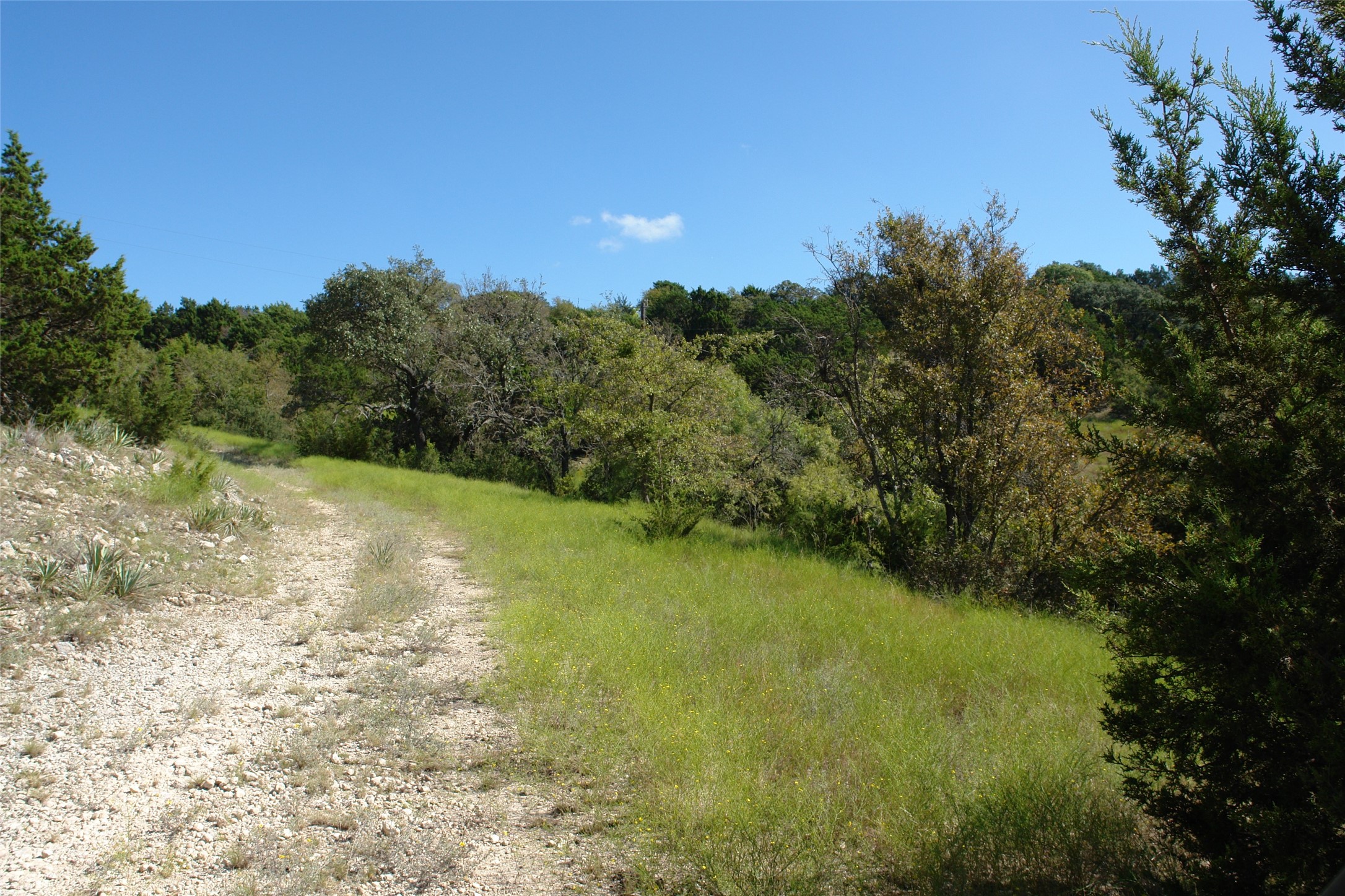 131 County Road 317 Goldthwaite TX 76844