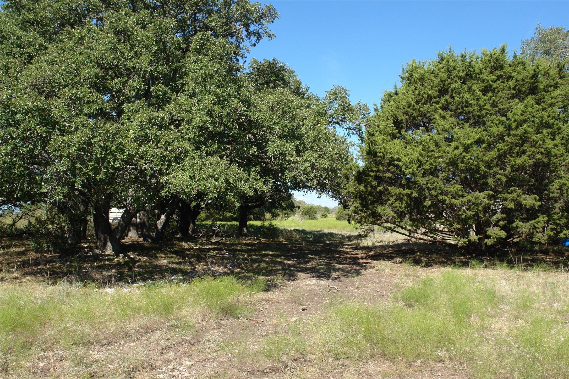 131 County Road 317 Goldthwaite TX 76844