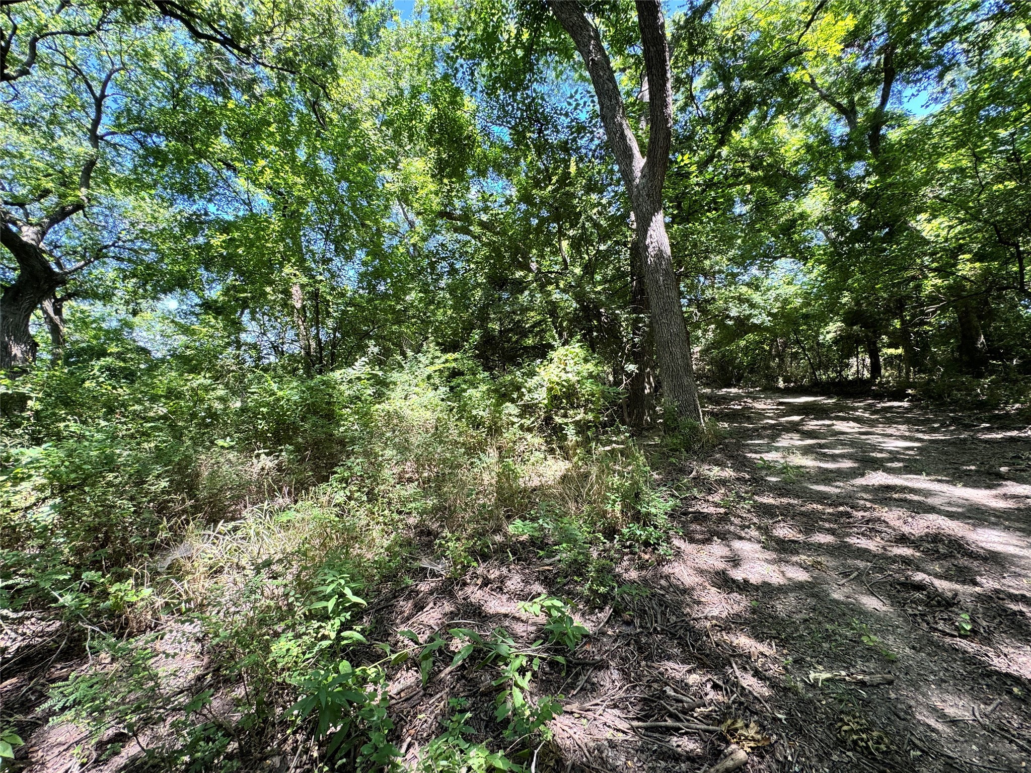 Tbd County Road 2740 Decatur TX 76234