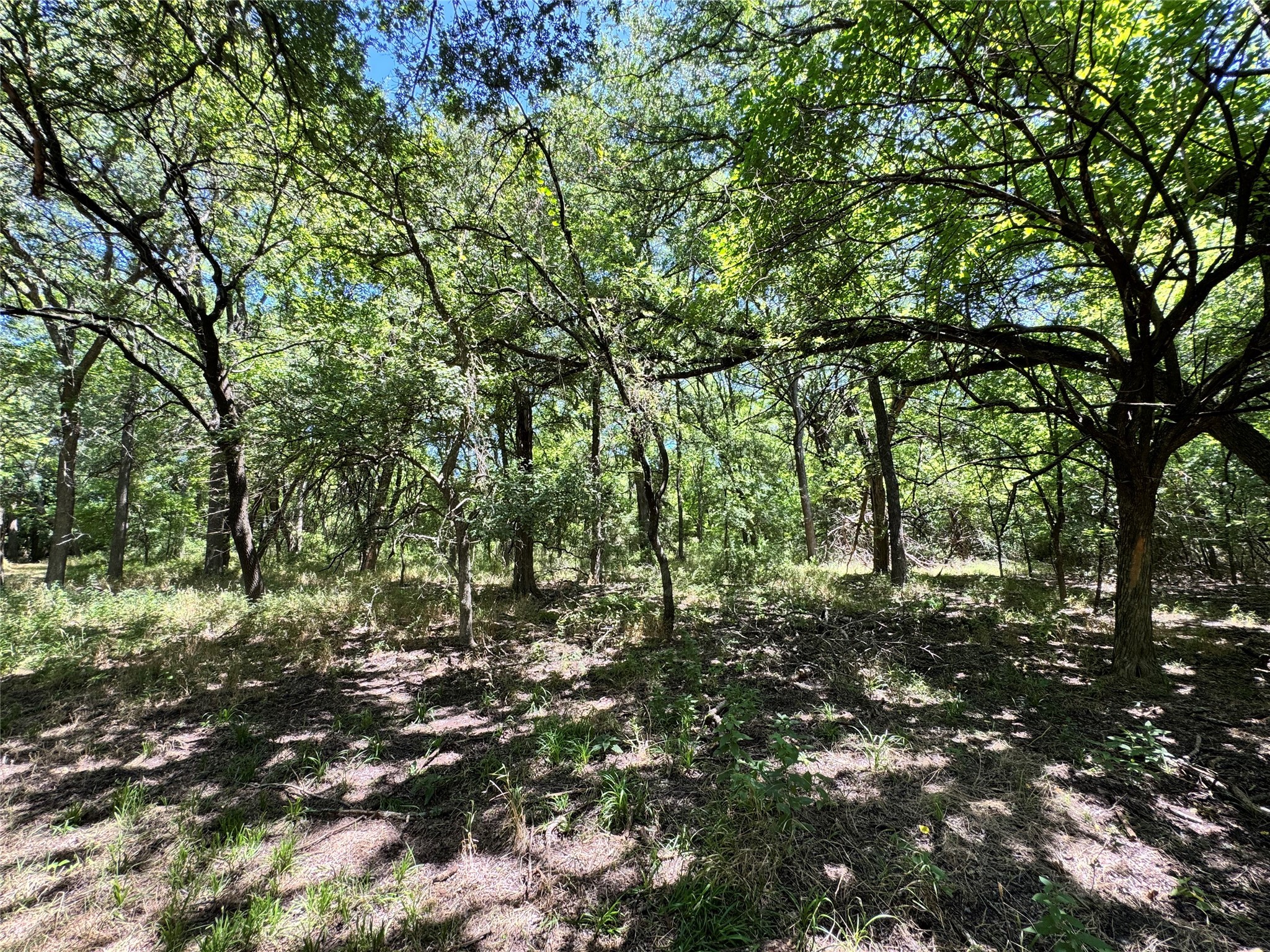 Tbd County Road 2740 Decatur TX 76234