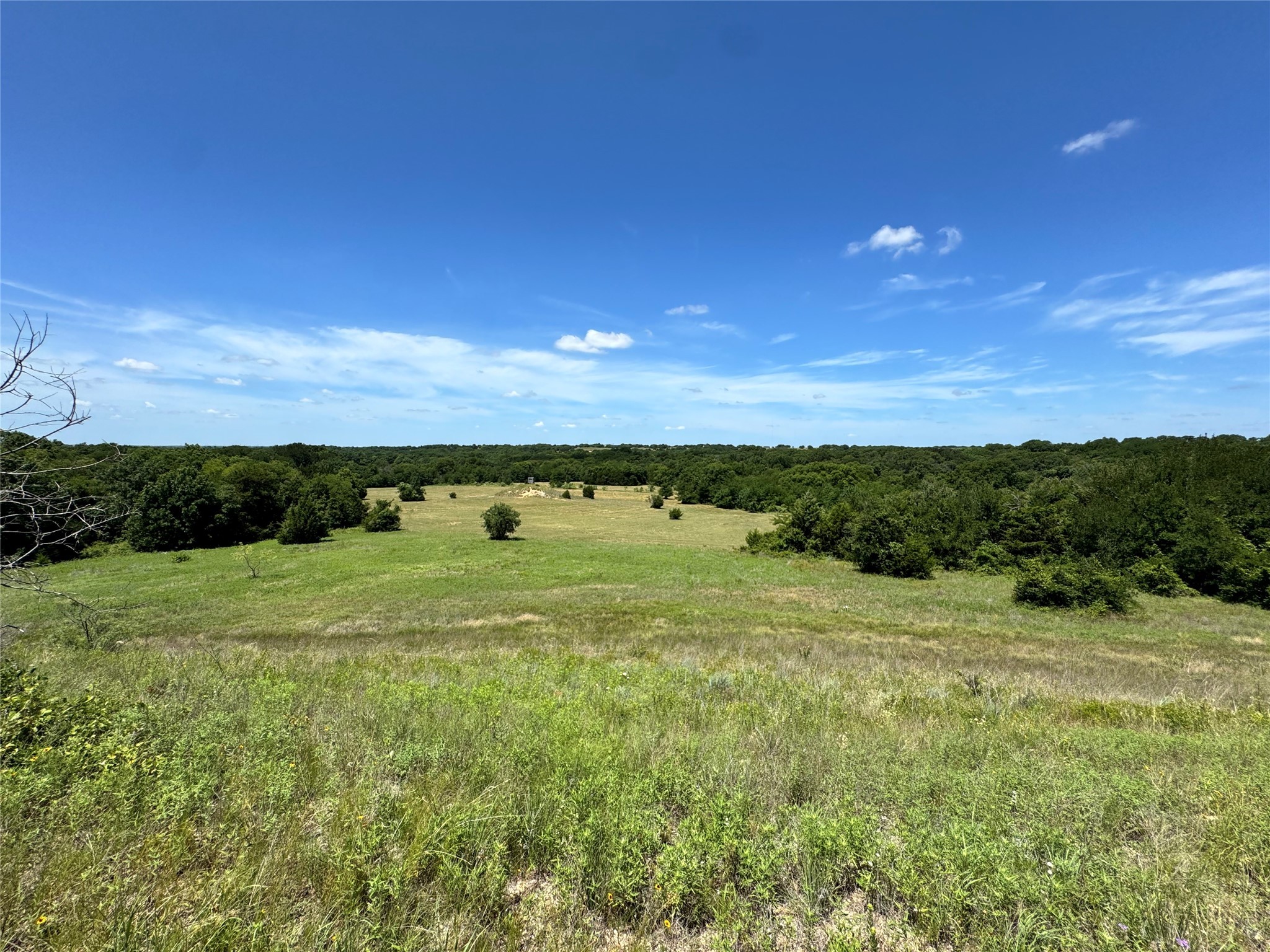 Tbd County Road 2740 Decatur TX 76234