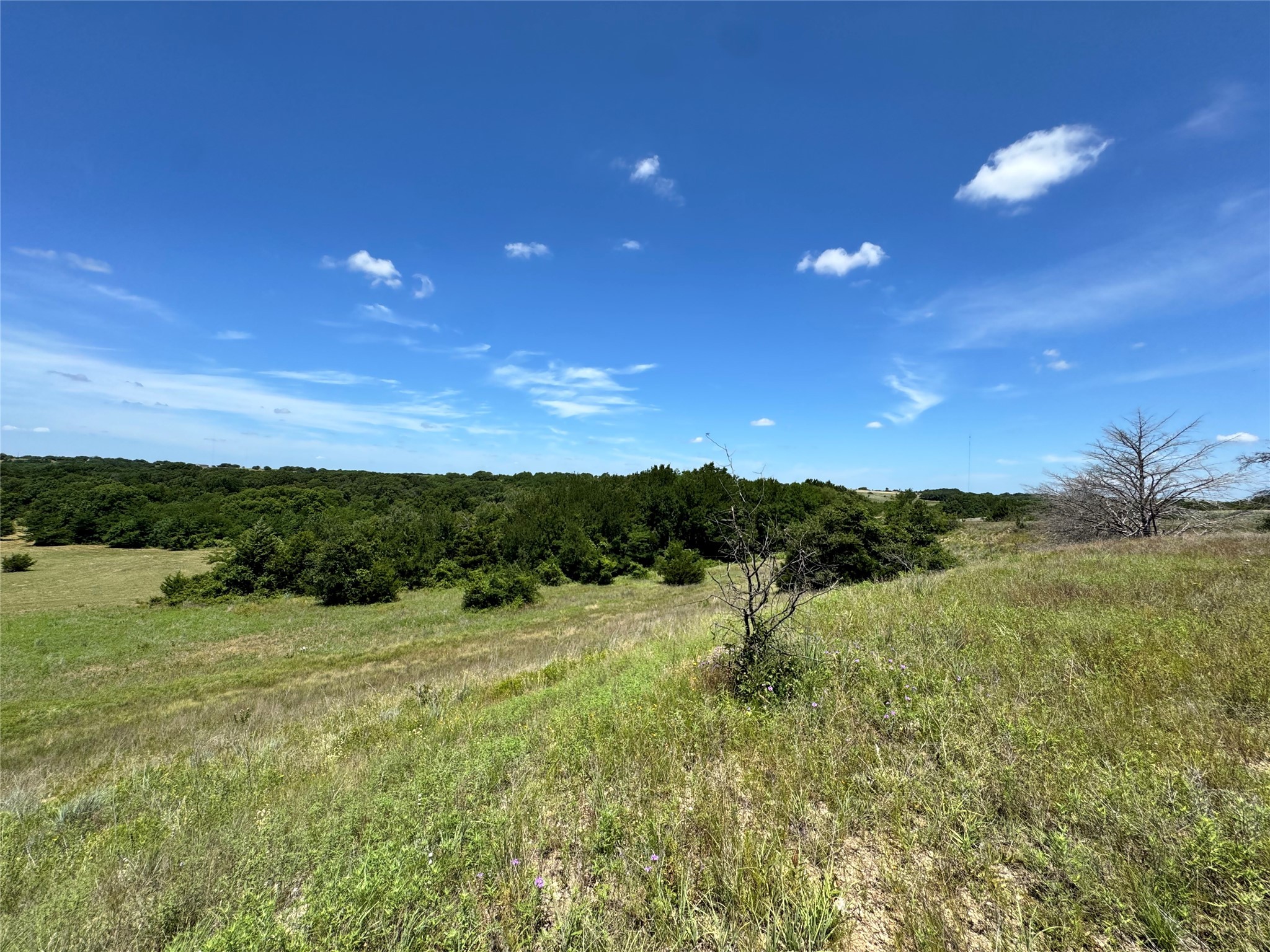 Tbd County Road 2740 Decatur TX 76234