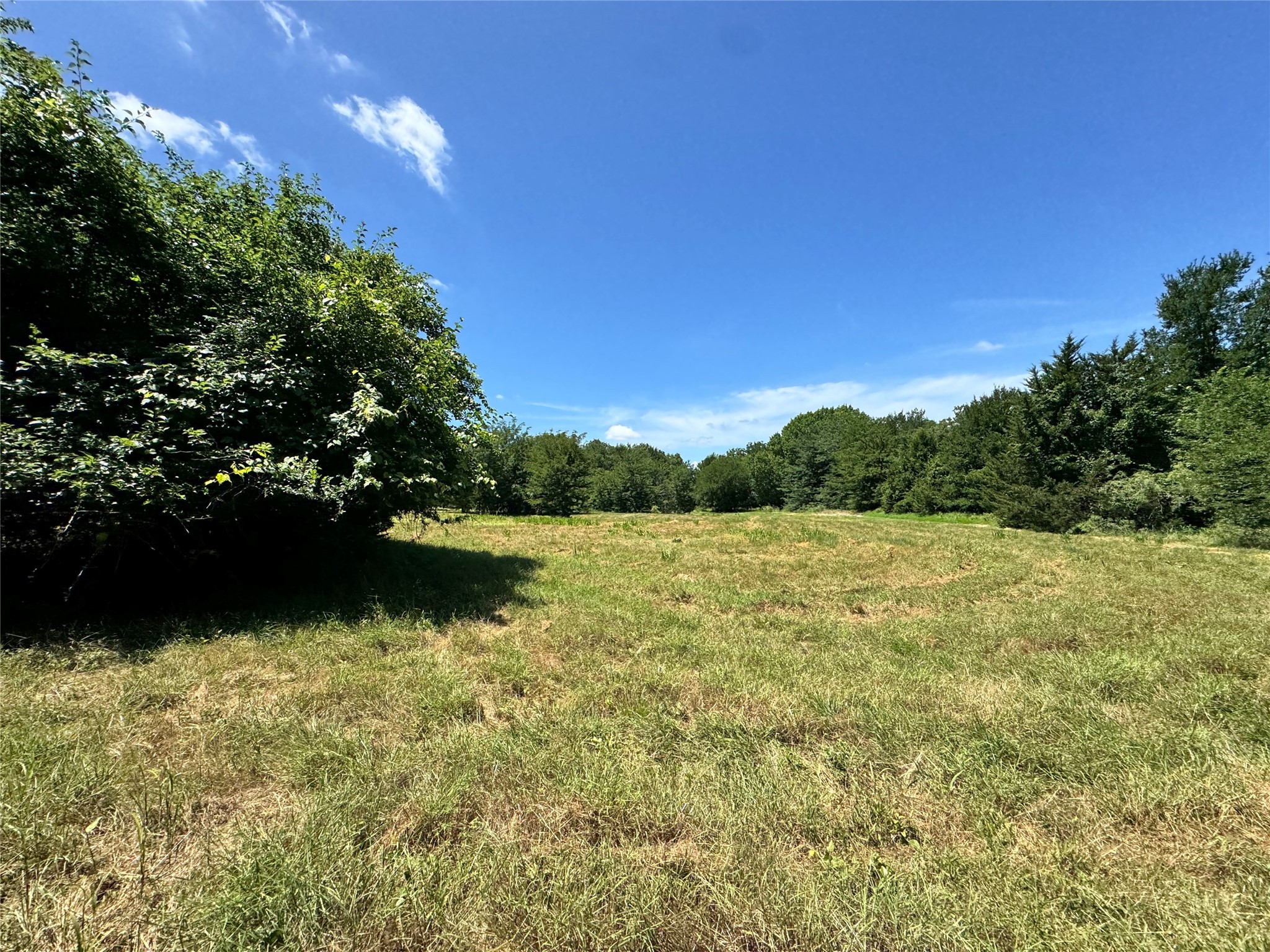 Tbd County Road 2740 Decatur TX 76234