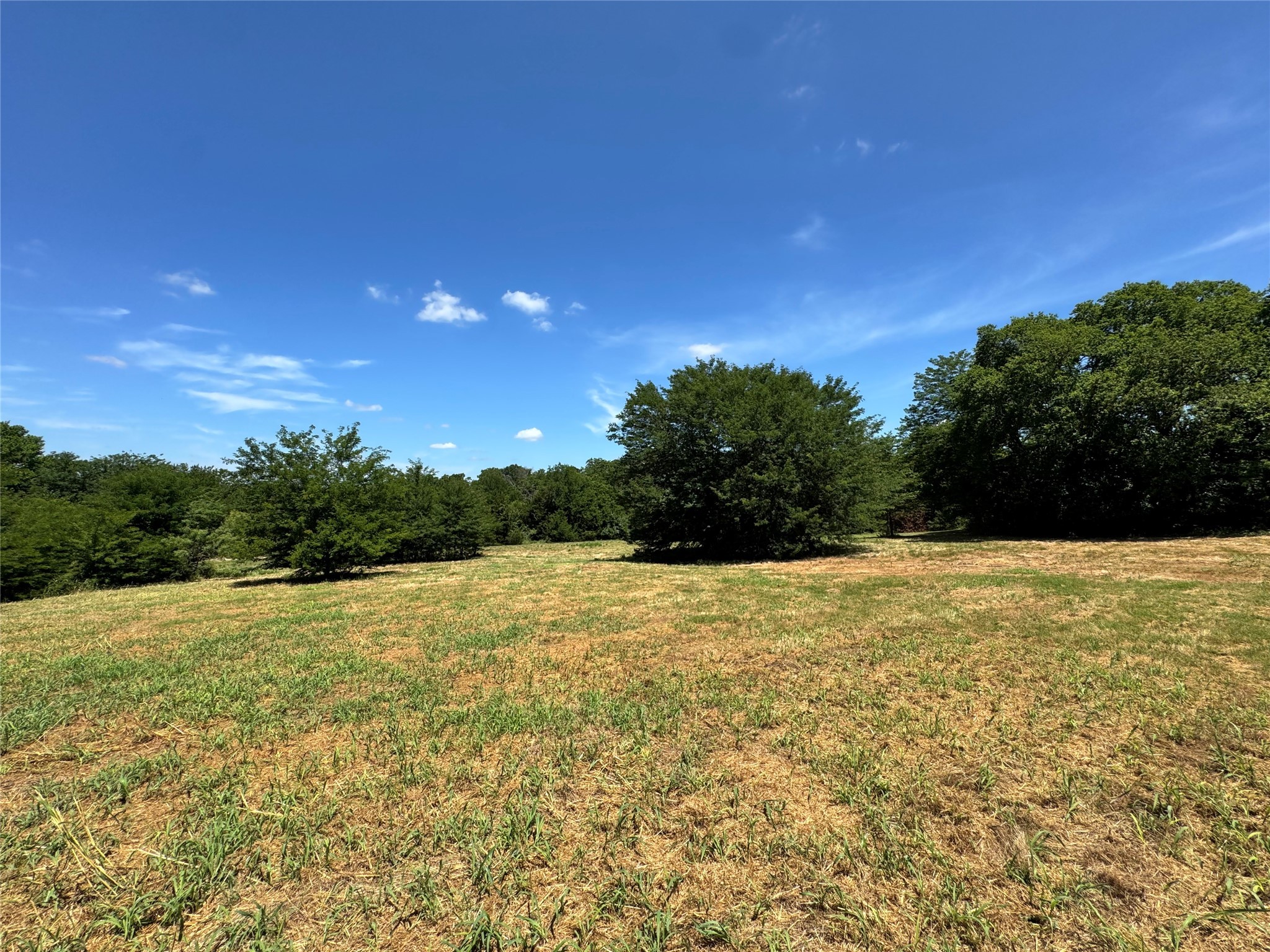 Tbd County Road 2740 Decatur TX 76234