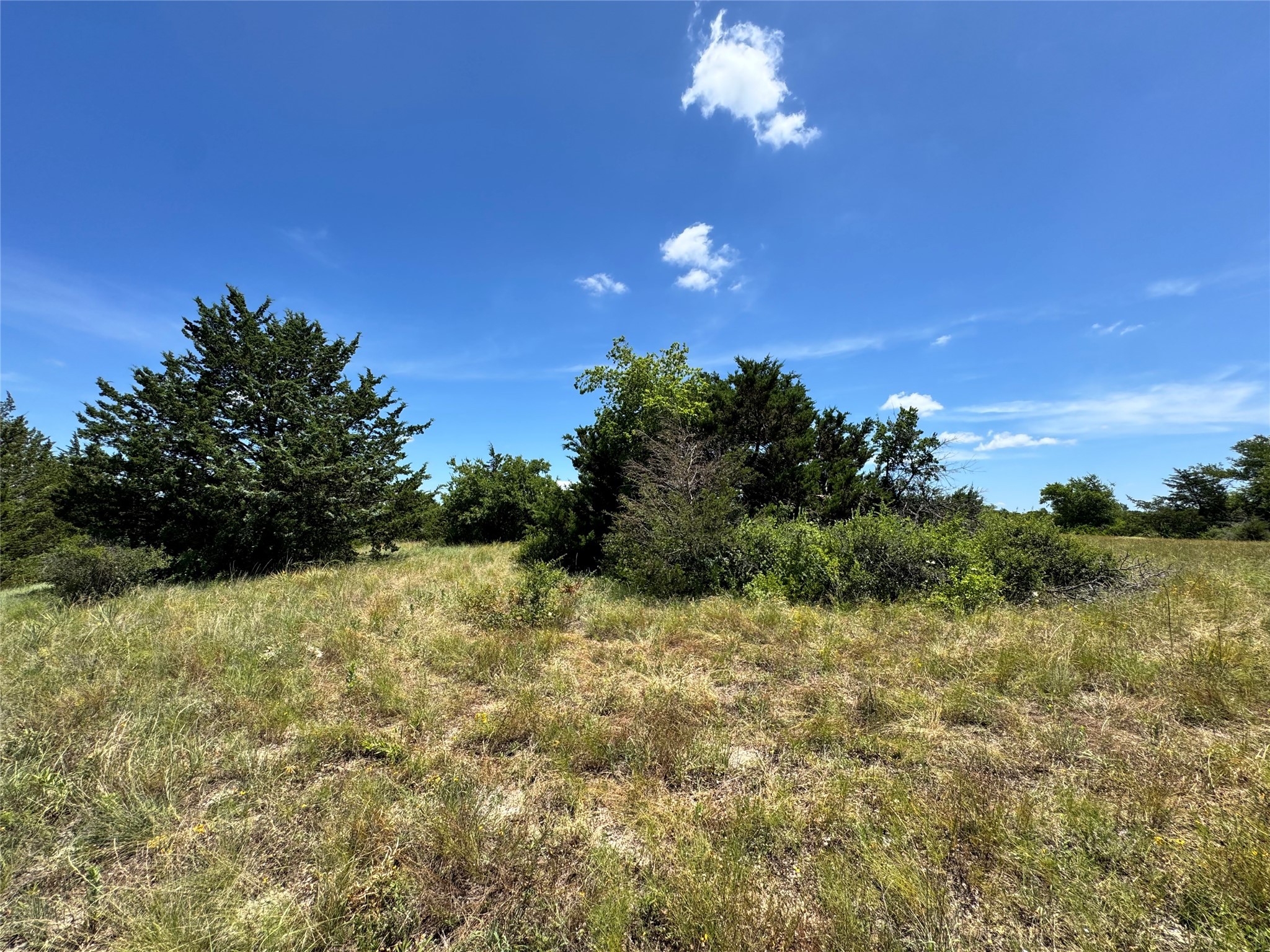 Tbd County Road 2740 Decatur TX 76234