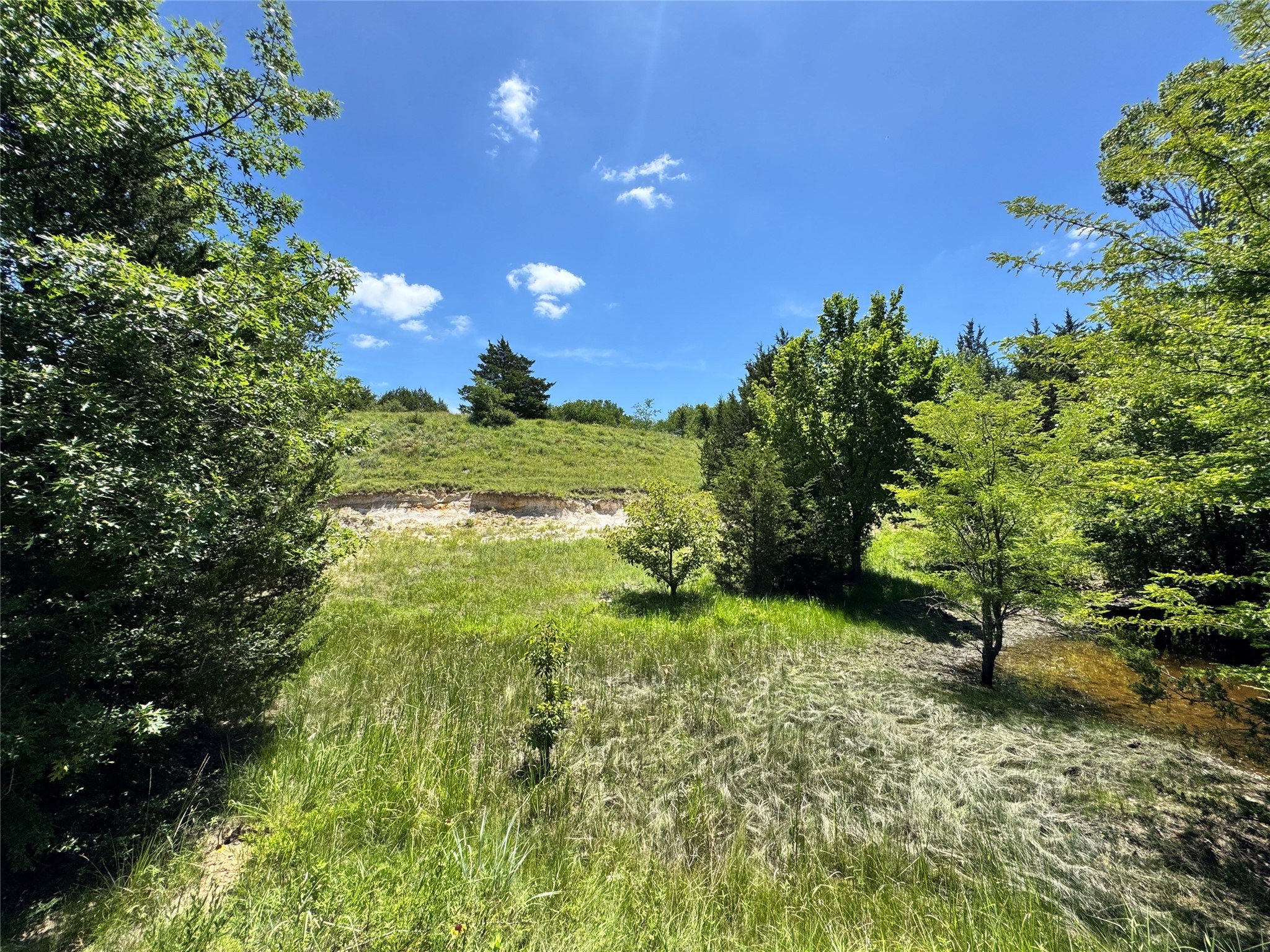 Tbd County Road 2740 Decatur TX 76234