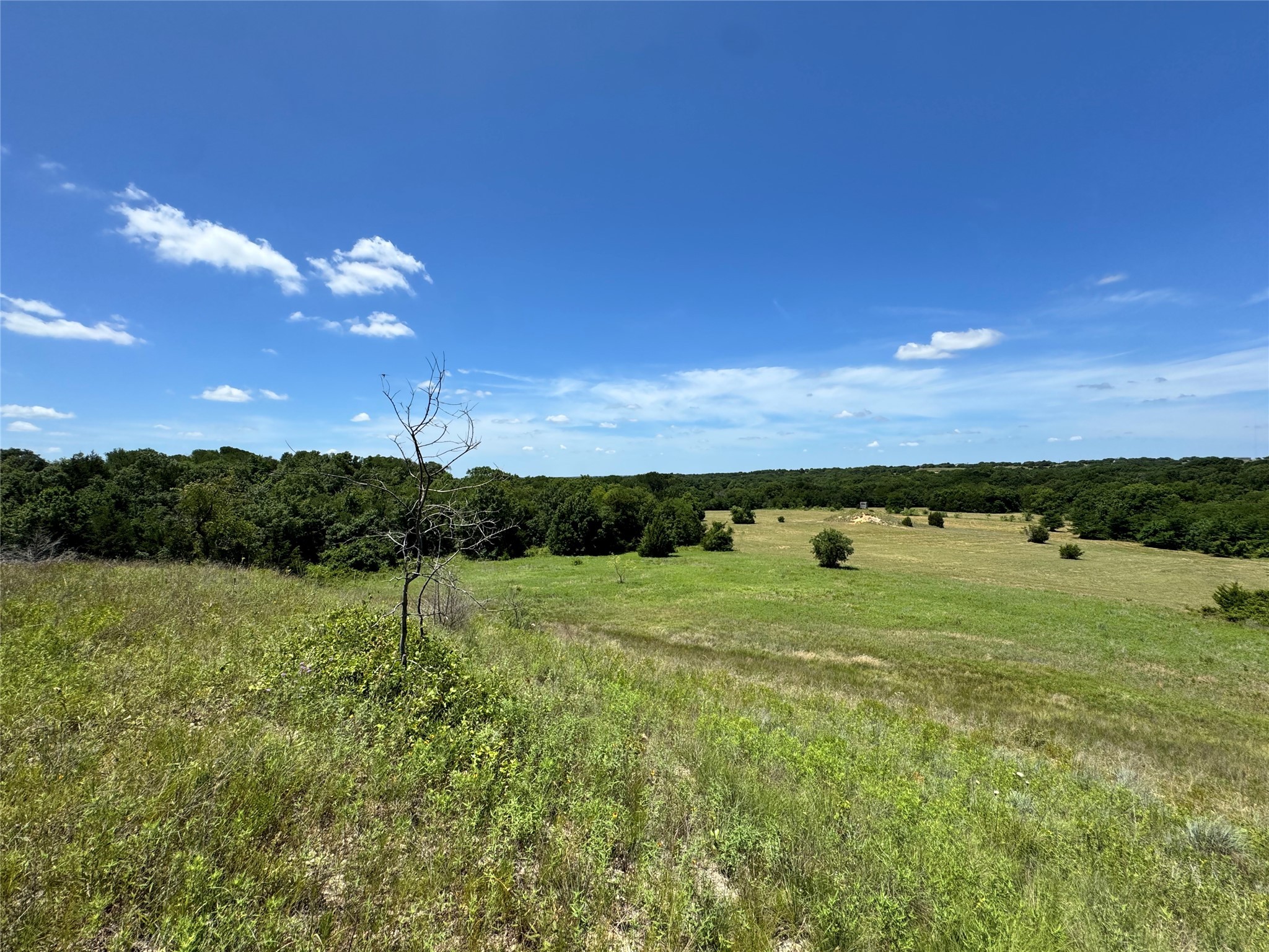 Tbd County Road 2740 Decatur TX 76234
