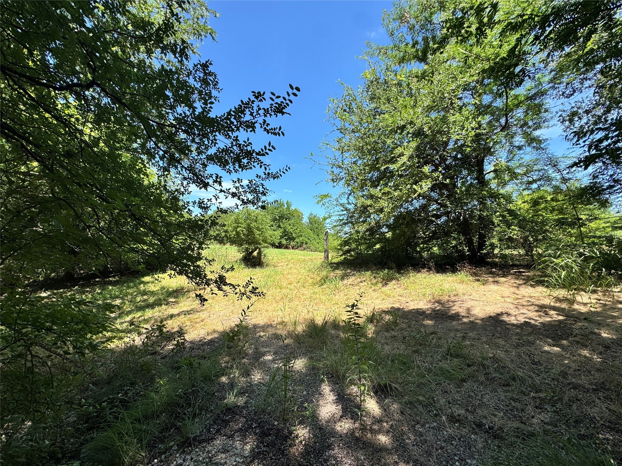 Tbd County Road 2740 Decatur TX 76234
