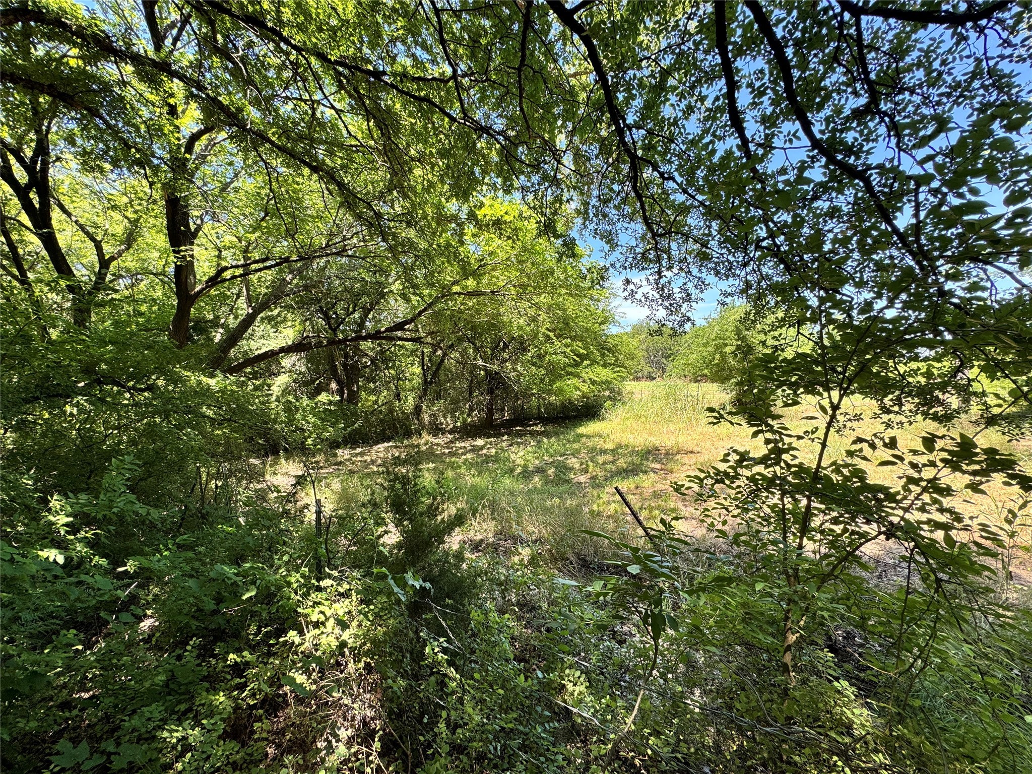 Tbd County Road 2740 Decatur TX 76234