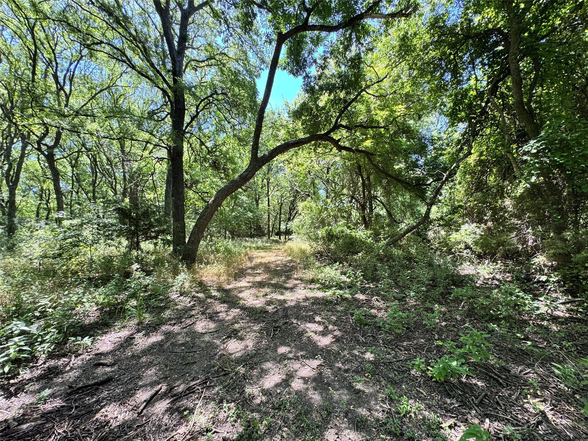 Tbd County Road 2740 Decatur TX 76234
