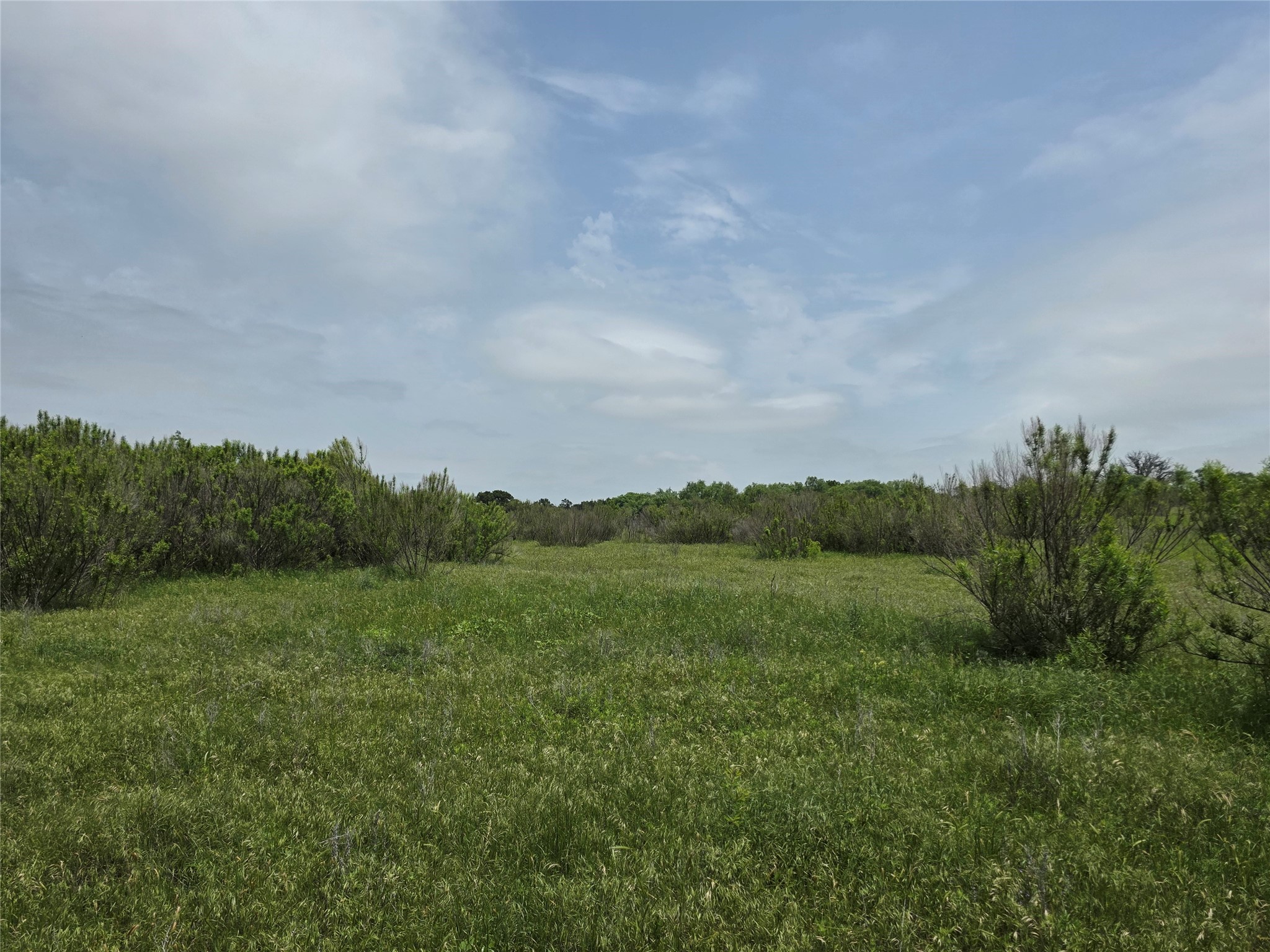 601 County Road 136 Comanche TX 76442