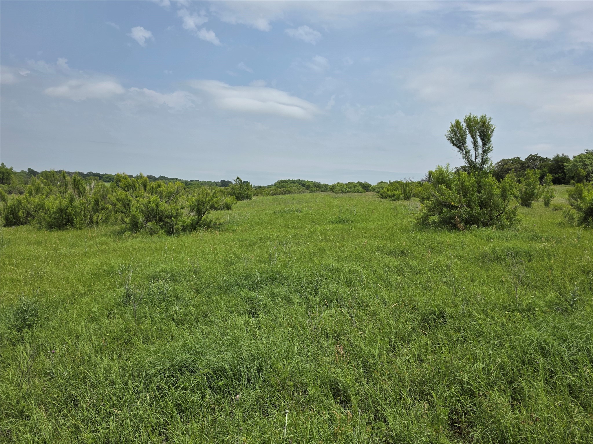 601 County Road 136 Comanche TX 76442