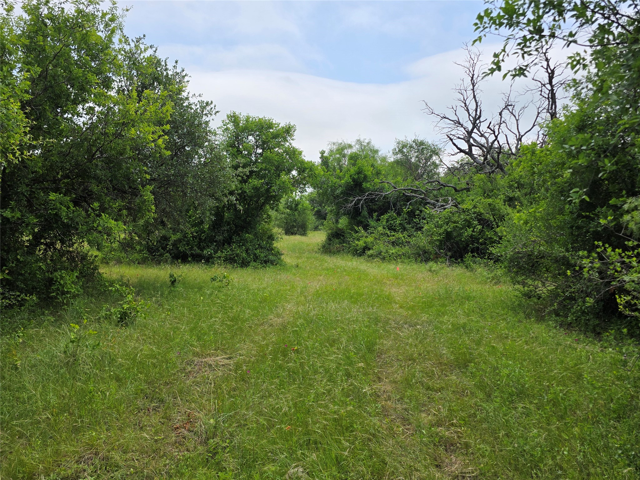 601 County Road 136 Comanche TX 76442