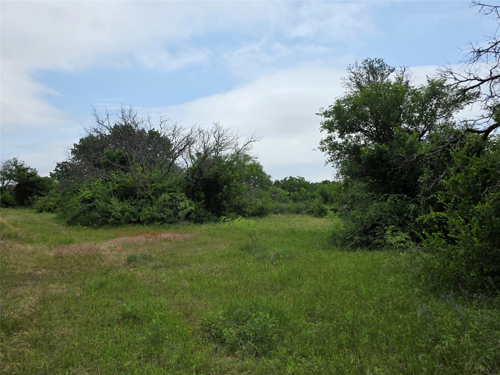 601 County Road 136 Comanche TX 76442