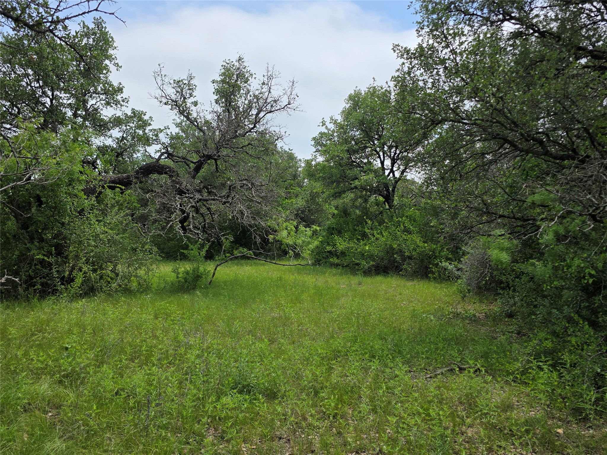 601 County Road 136 Comanche TX 76442