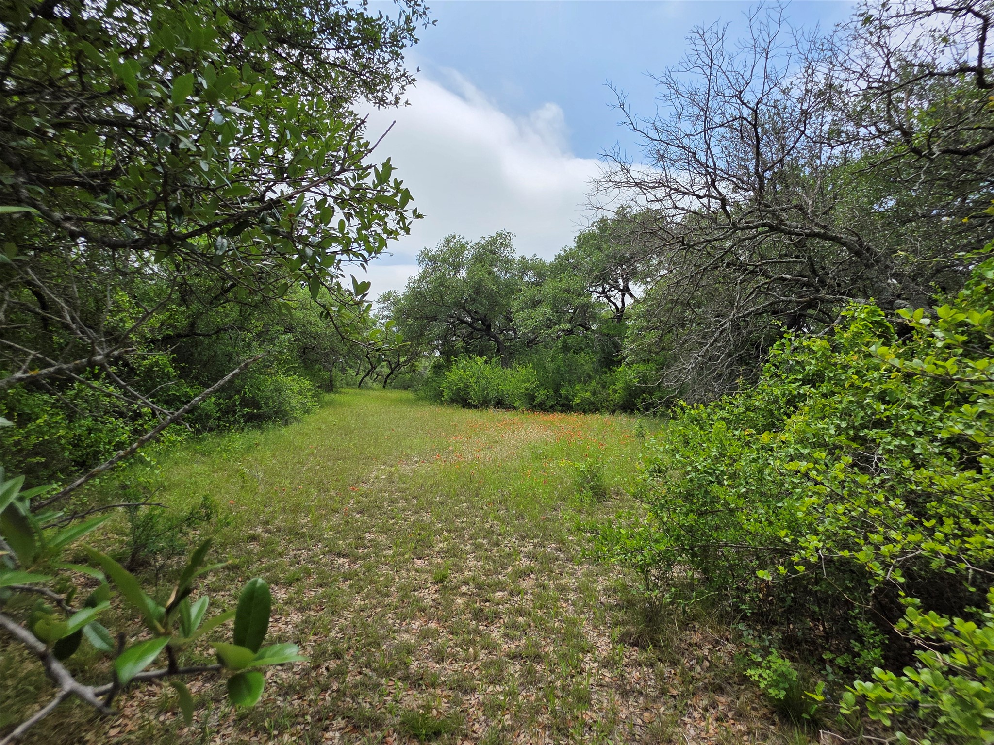 601 County Road 136 Comanche TX 76442