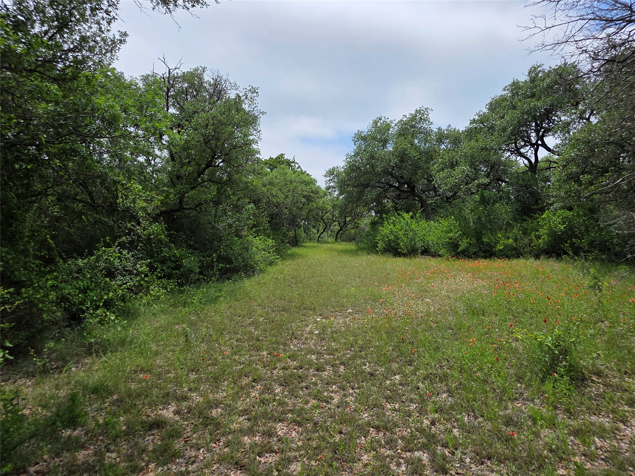 601 County Road 136 Comanche TX 76442