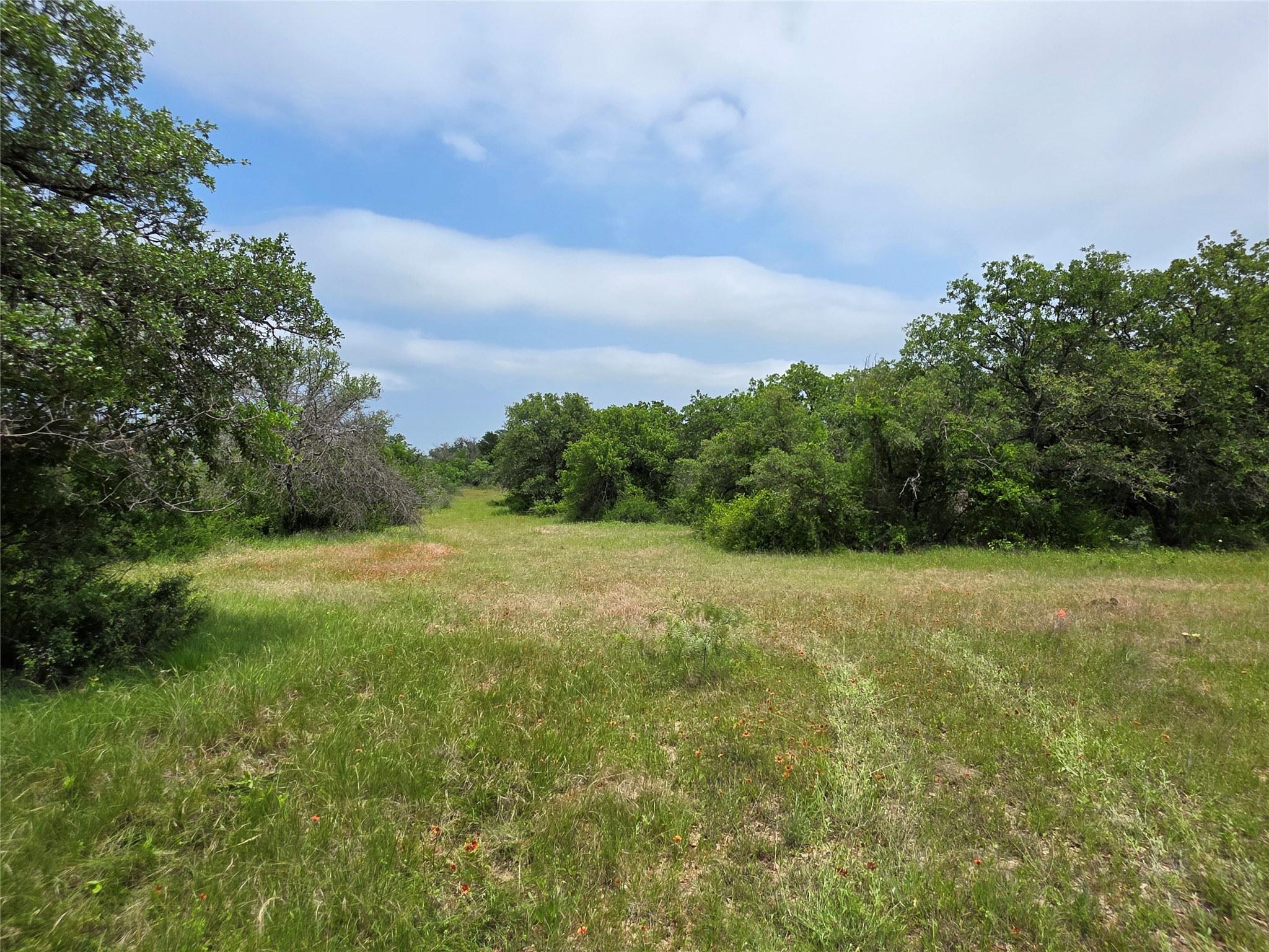 601 County Road 136 Comanche TX 76442