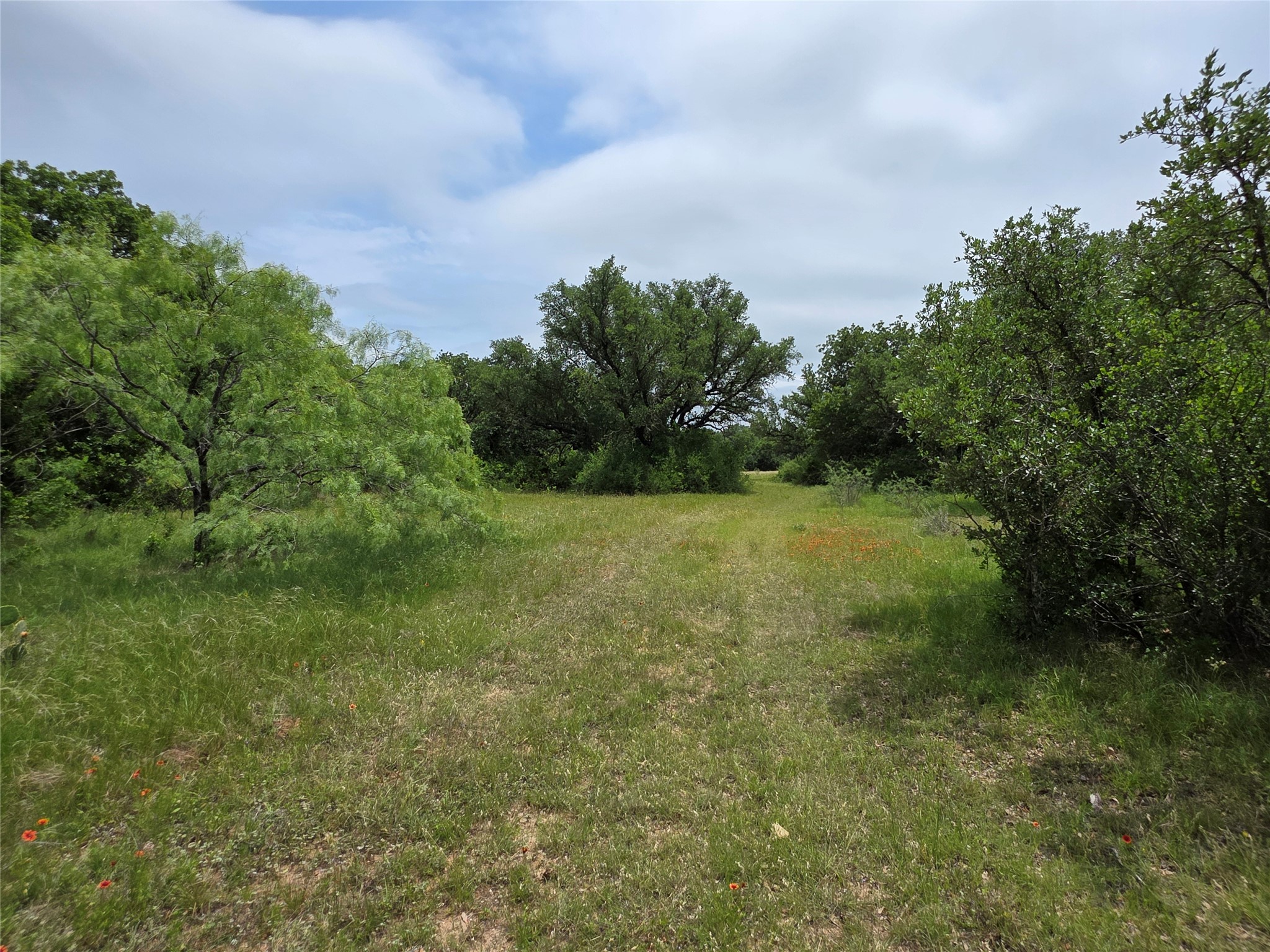 601 County Road 136 Comanche TX 76442