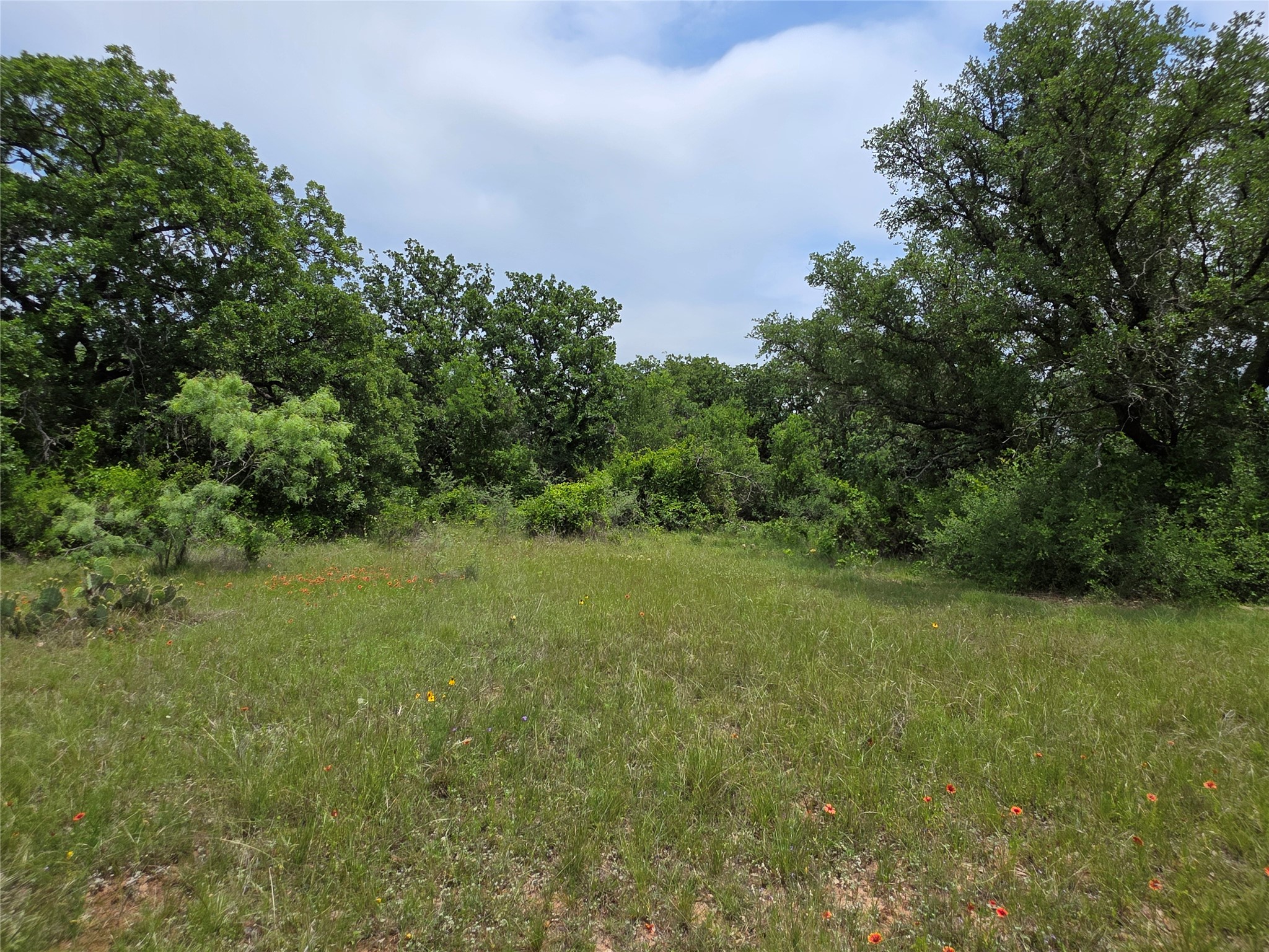 601 County Road 136 Comanche TX 76442