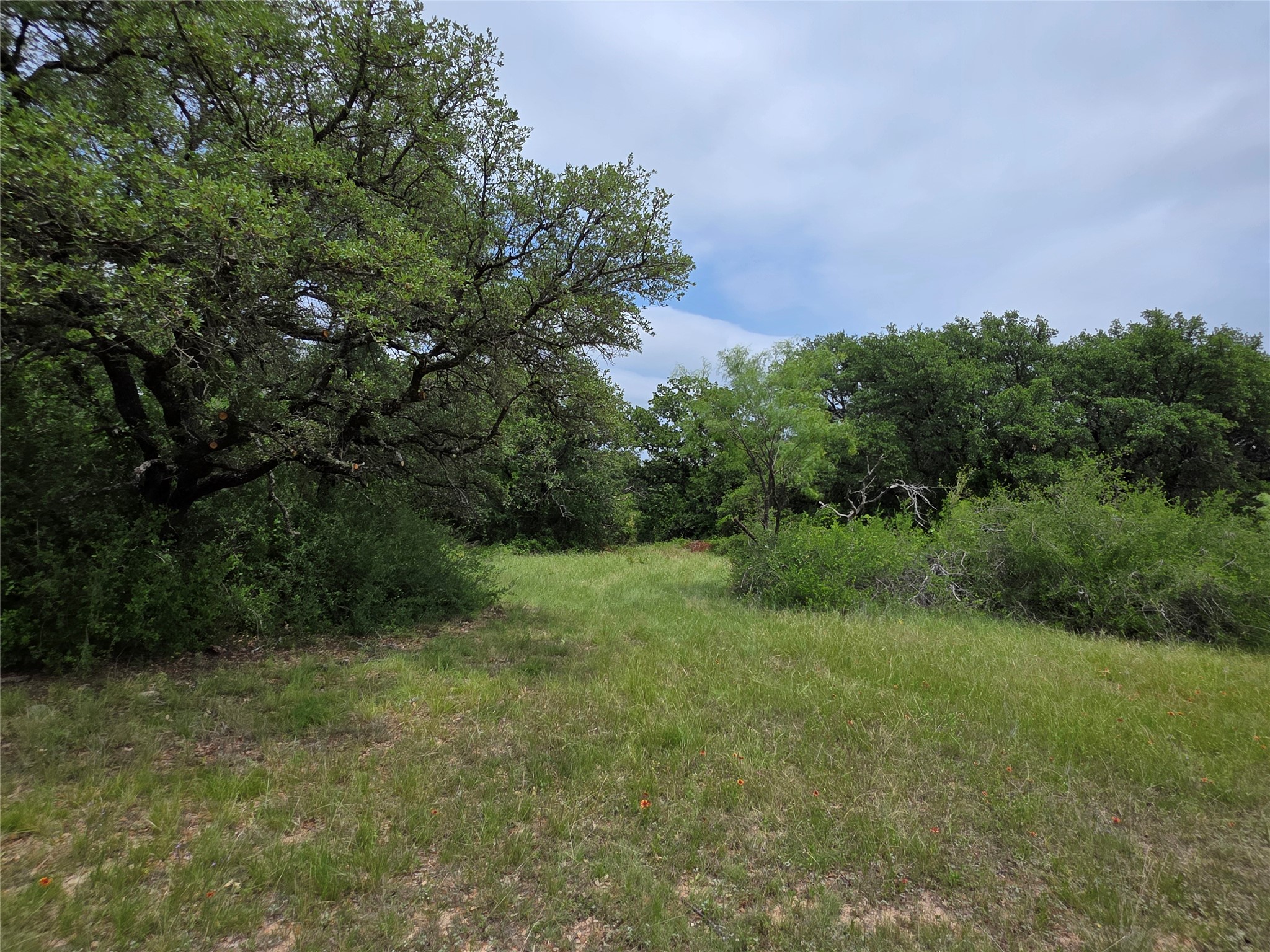 601 County Road 136 Comanche TX 76442
