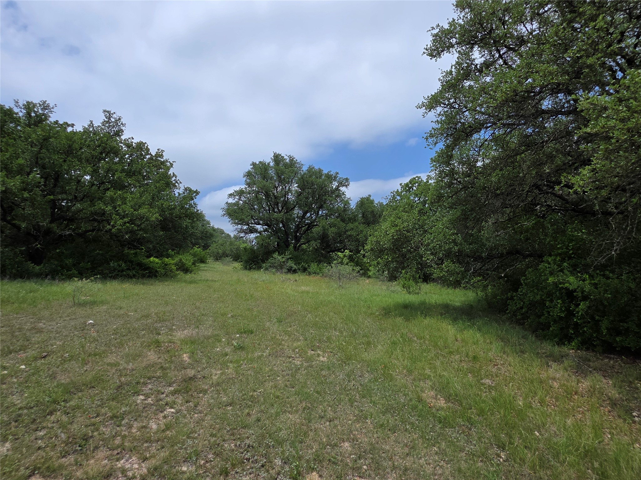 601 County Road 136 Comanche TX 76442