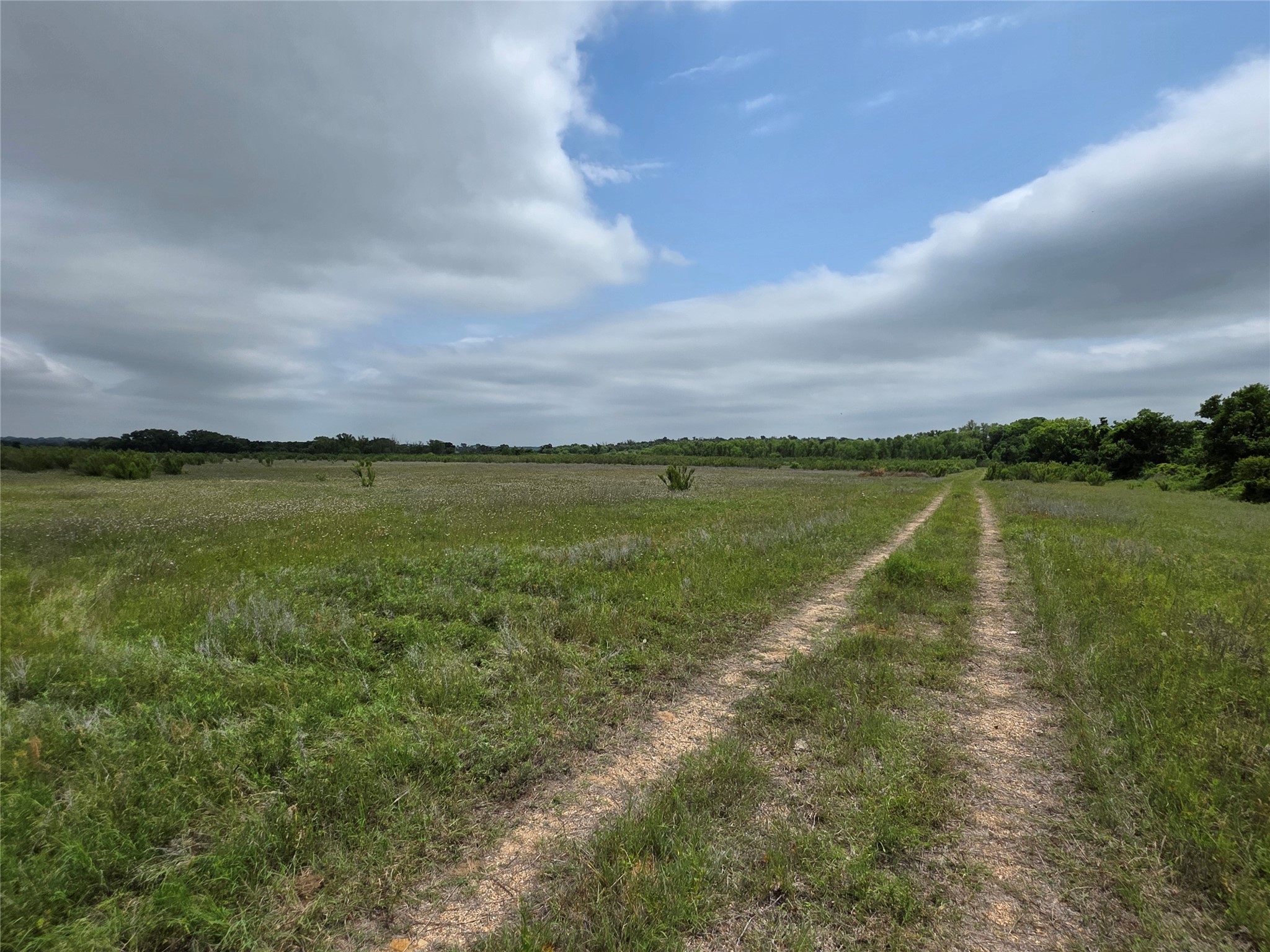 601 County Road 136 Comanche TX 76442
