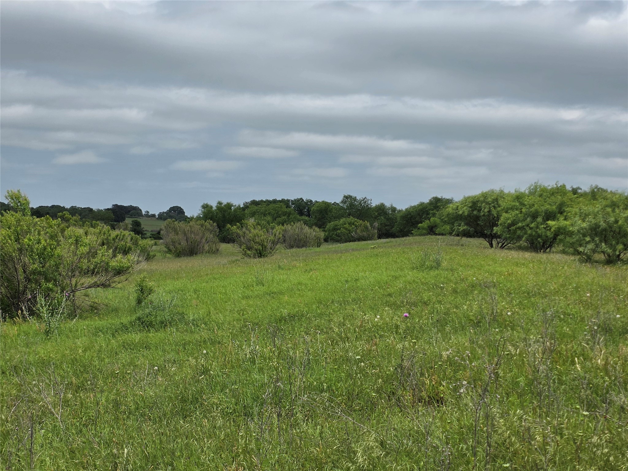 601 County Road 136 Comanche TX 76442