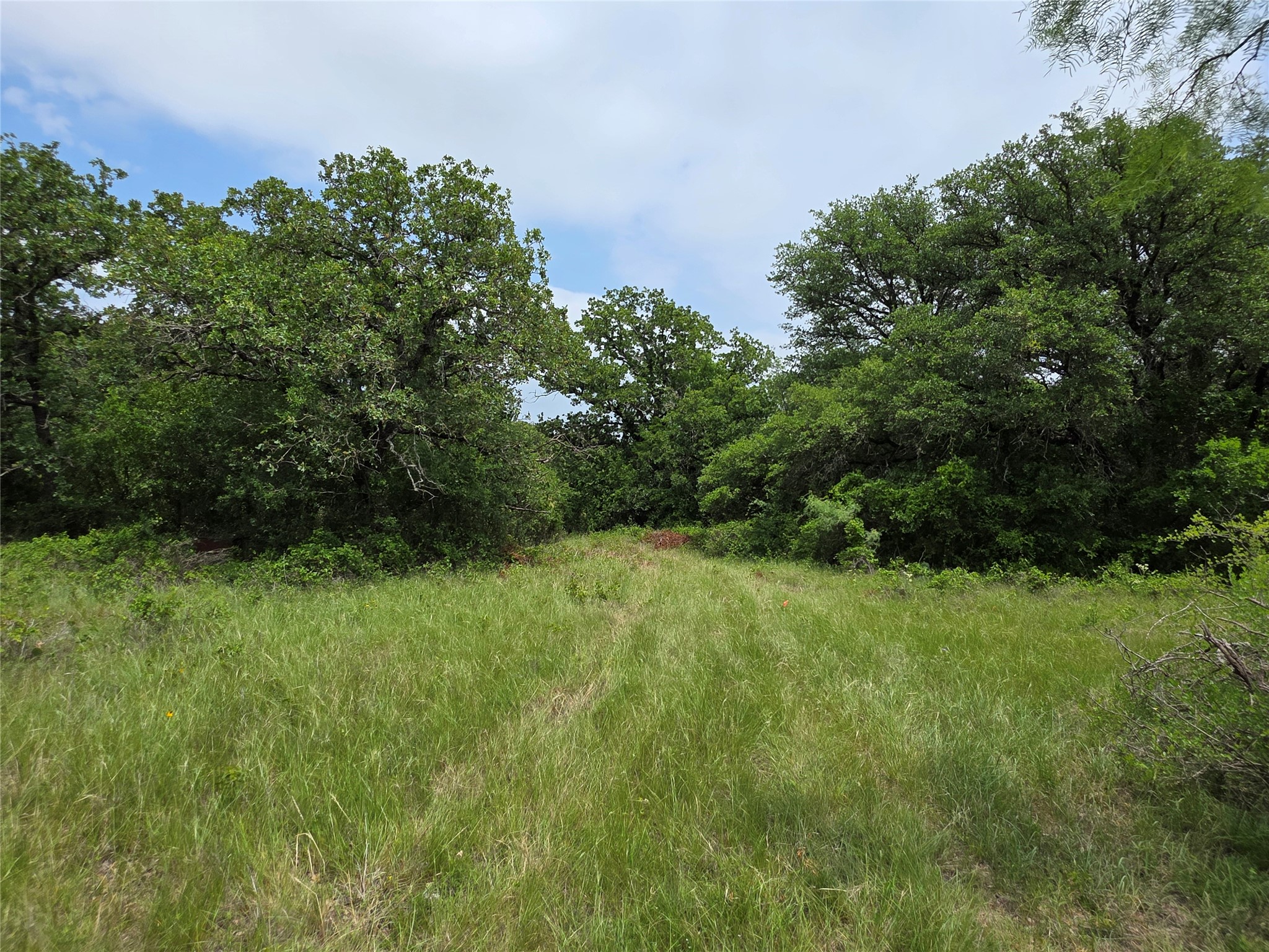 601 County Road 136 Comanche TX 76442