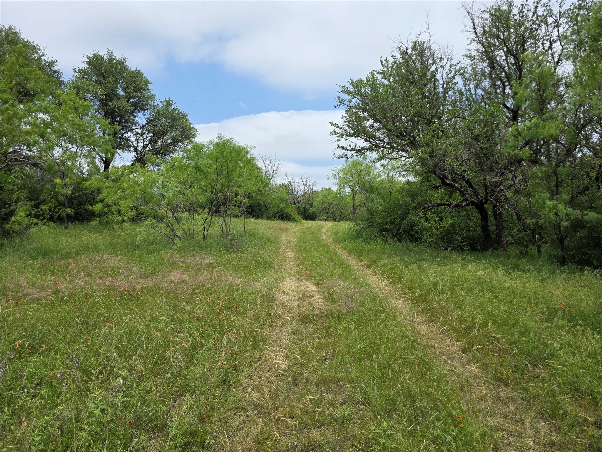 601 County Road 136 Comanche TX 76442