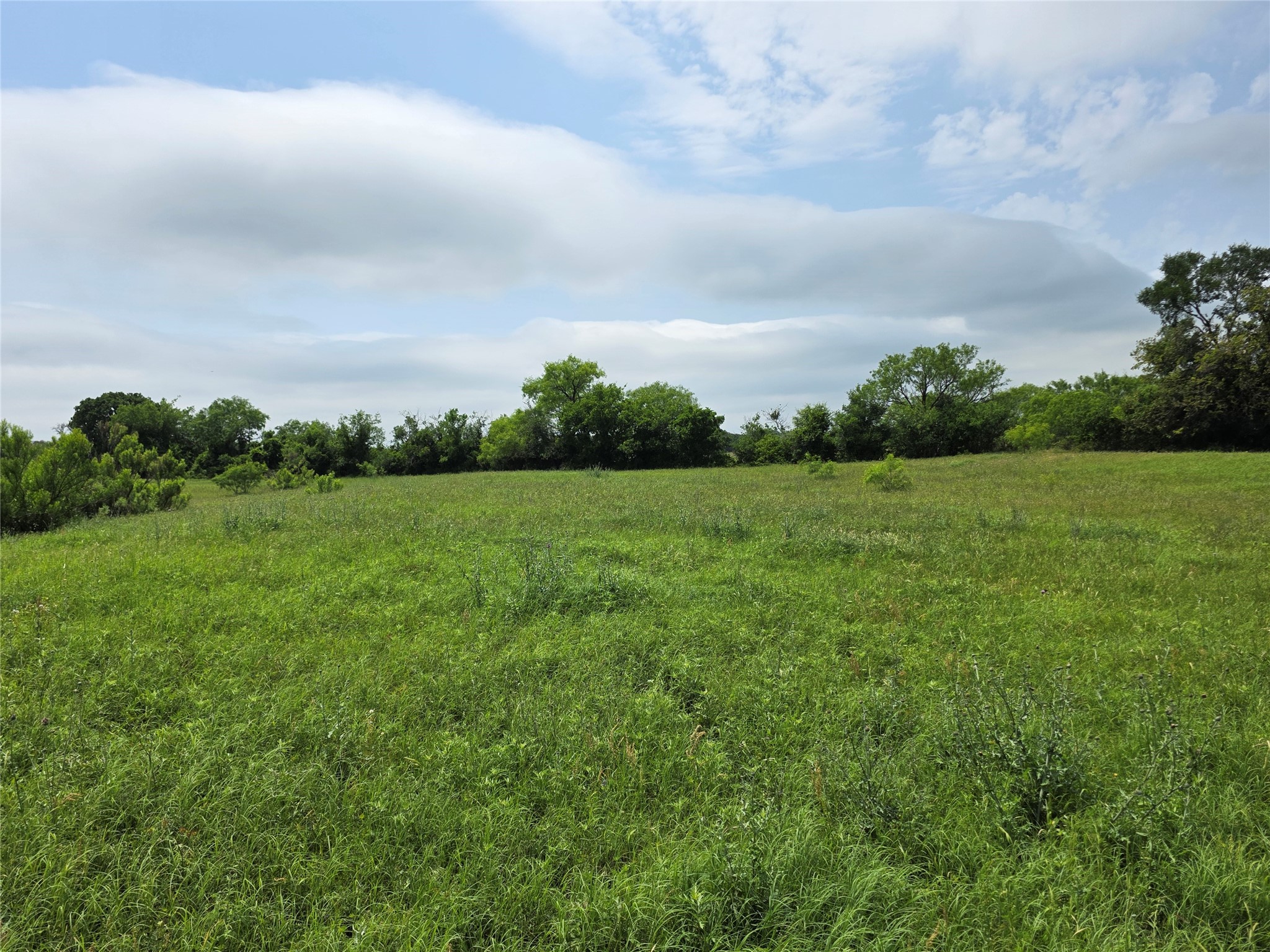 601 County Road 136 Comanche TX 76442