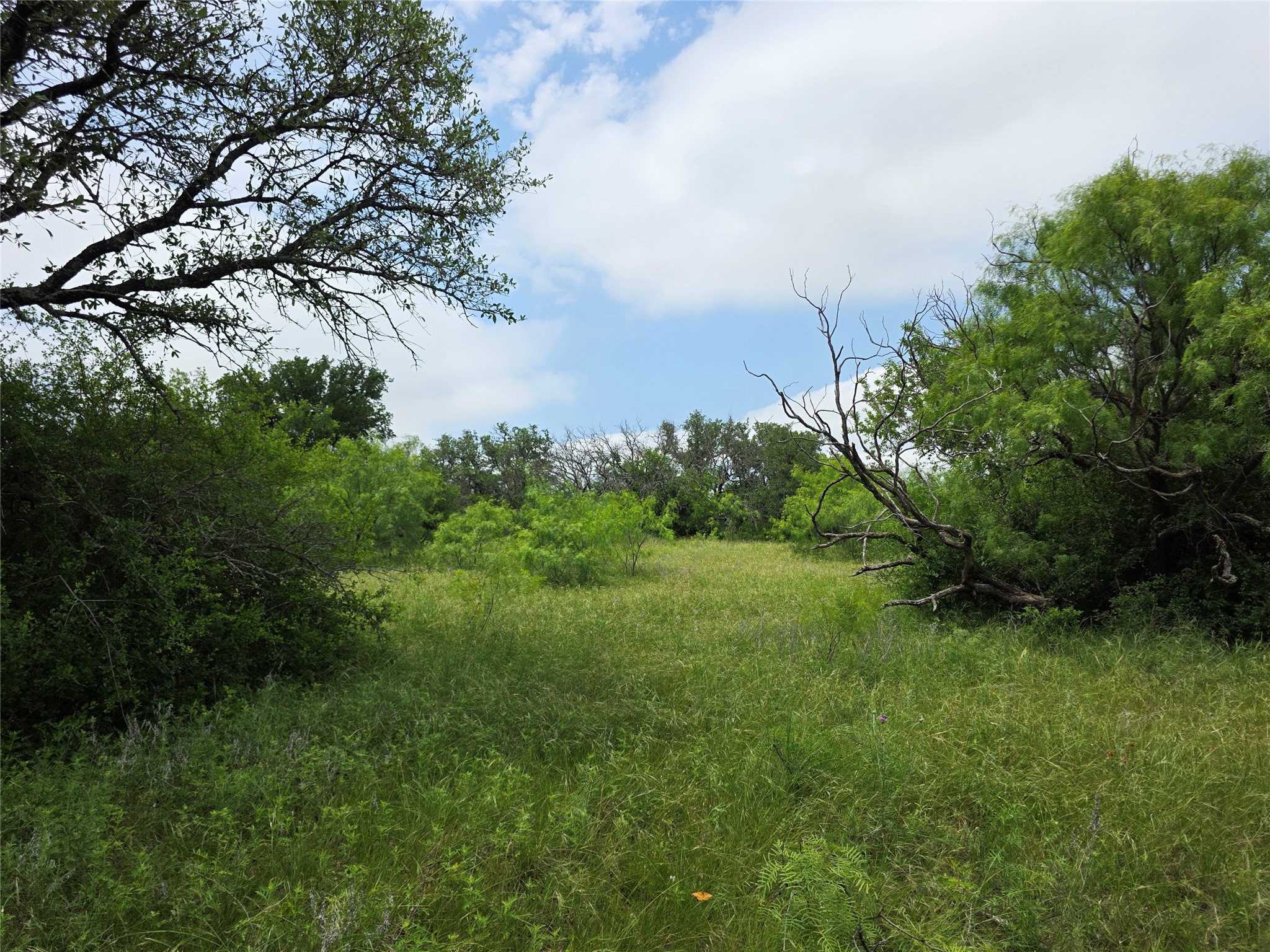 601 County Road 136 Comanche TX 76442