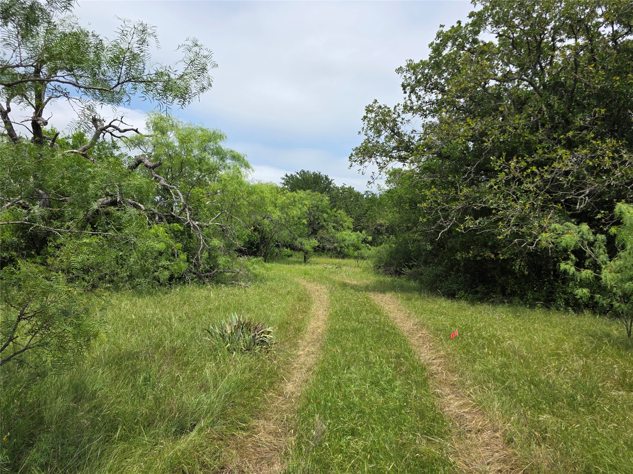 601 County Road 136 Comanche TX 76442