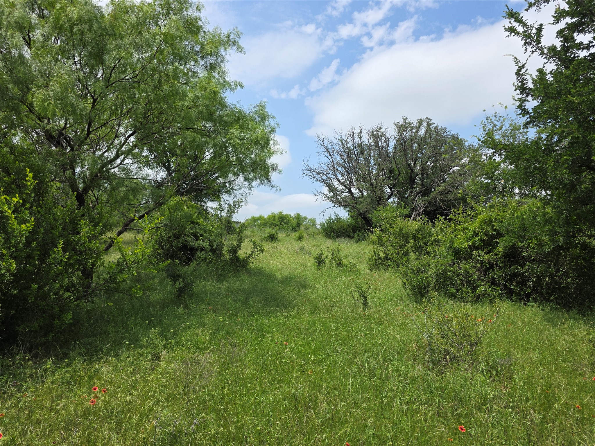 601 County Road 136 Comanche TX 76442