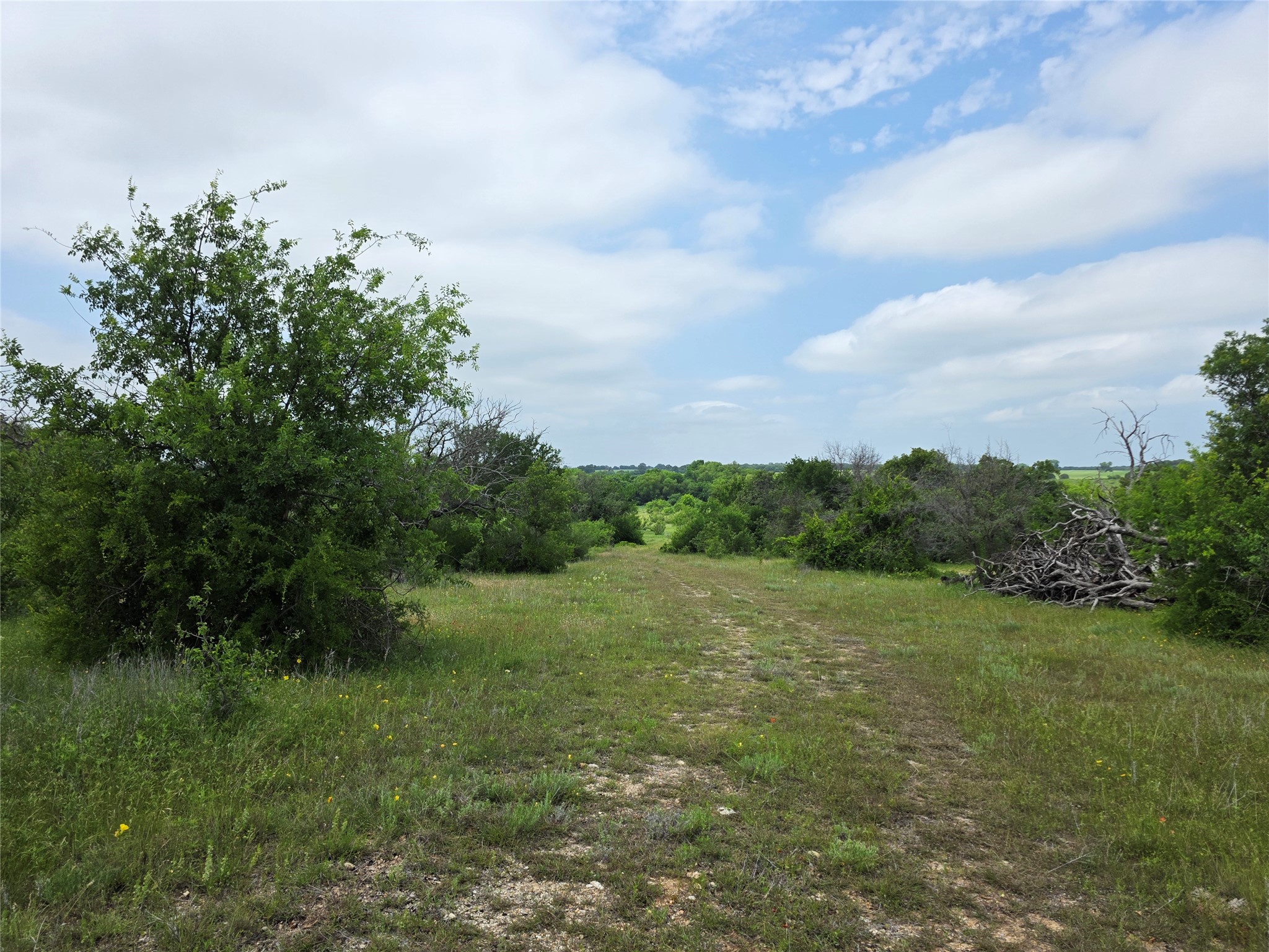 601 County Road 136 Comanche TX 76442