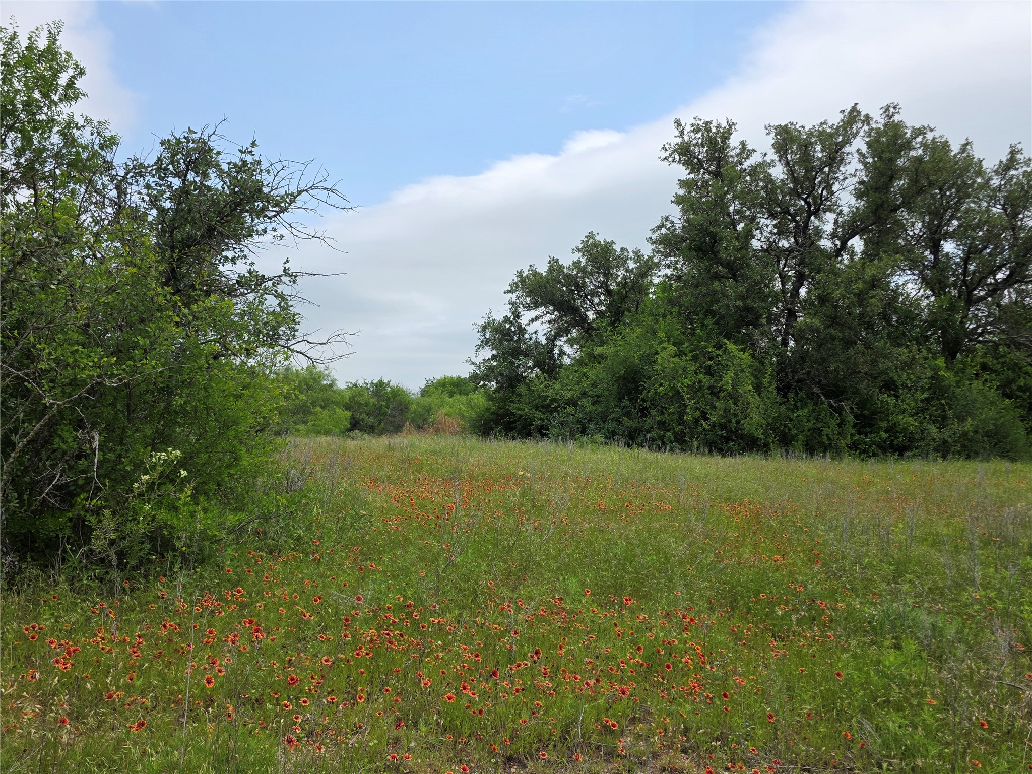 601 County Road 136 Comanche TX 76442