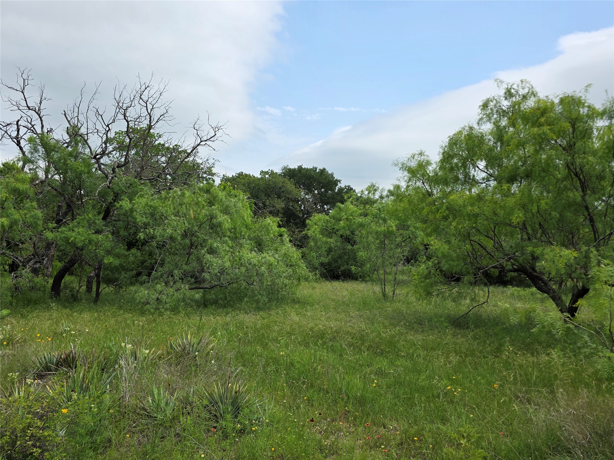 601 County Road 136 Comanche TX 76442
