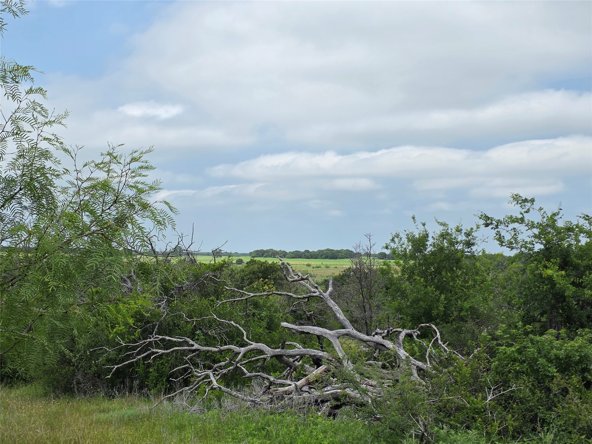 601 County Road 136 Comanche TX 76442