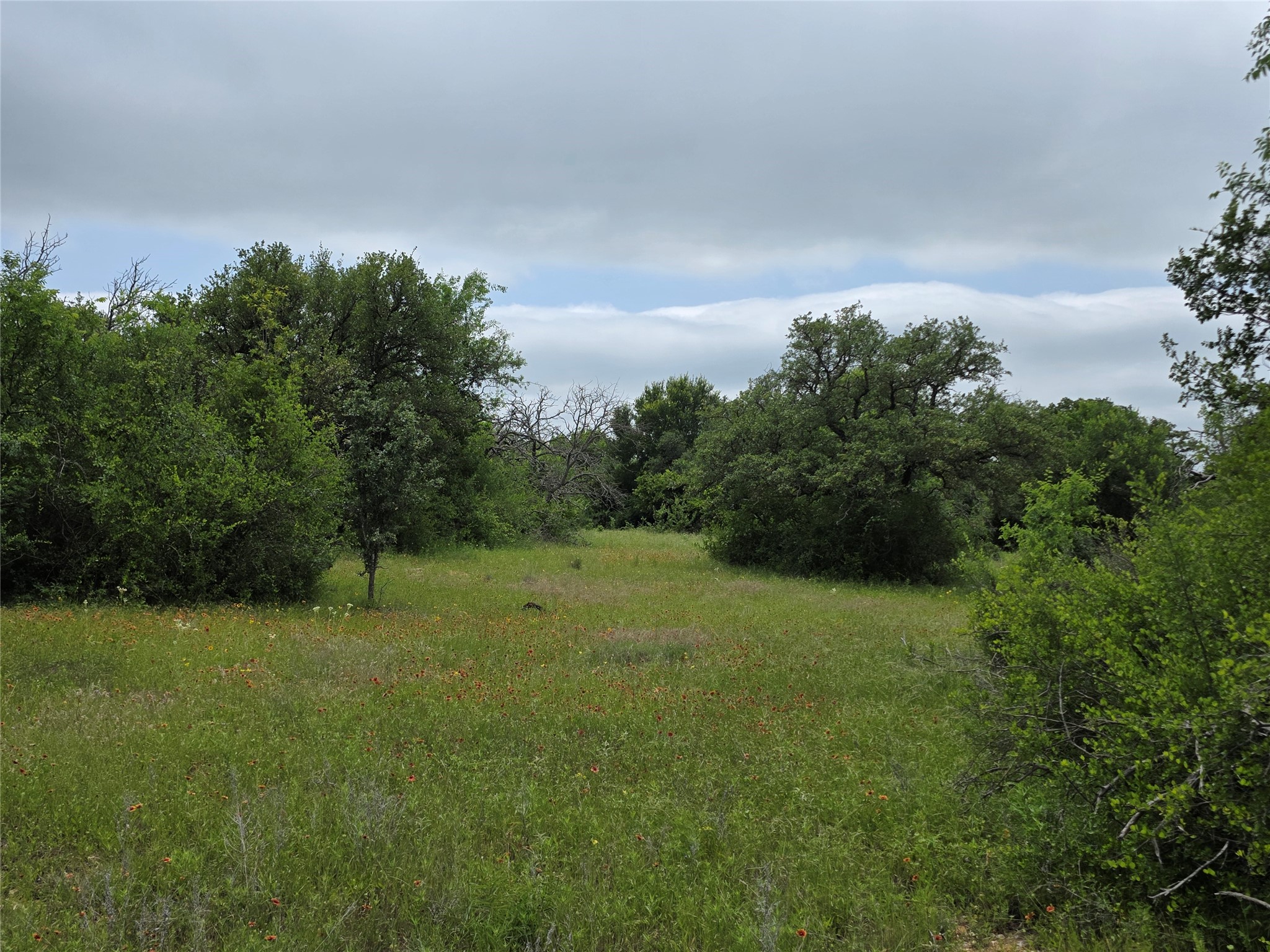 601 County Road 136 Comanche TX 76442