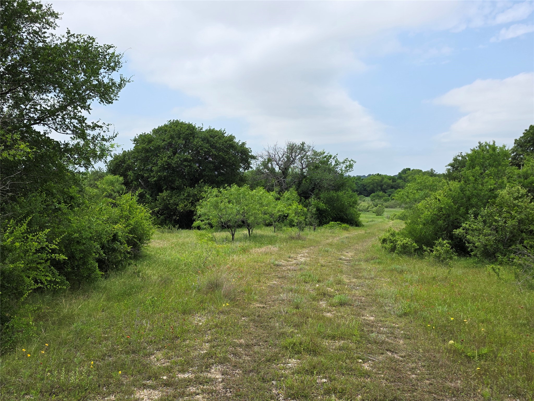 601 County Road 136 Comanche TX 76442