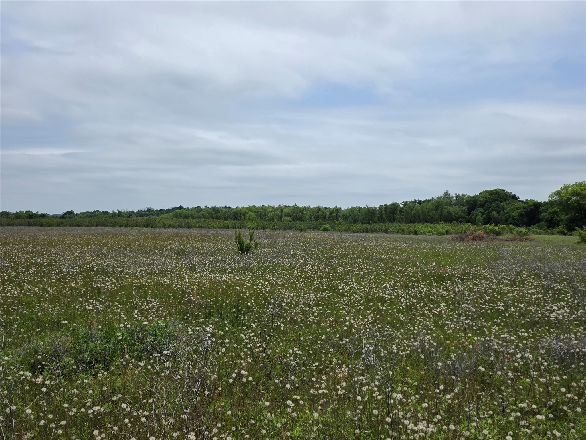 601 County Road 136 Comanche TX 76442
