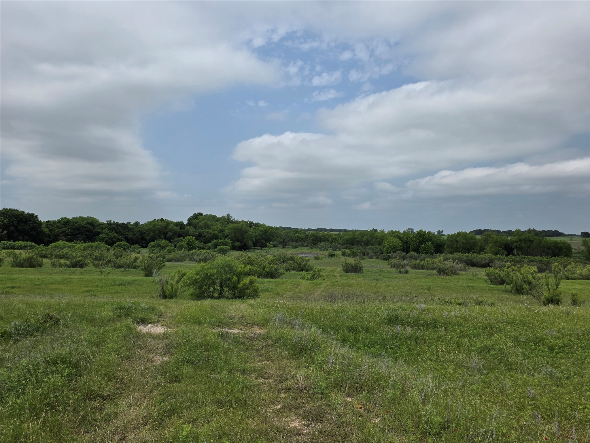 601 County Road 136 Comanche TX 76442