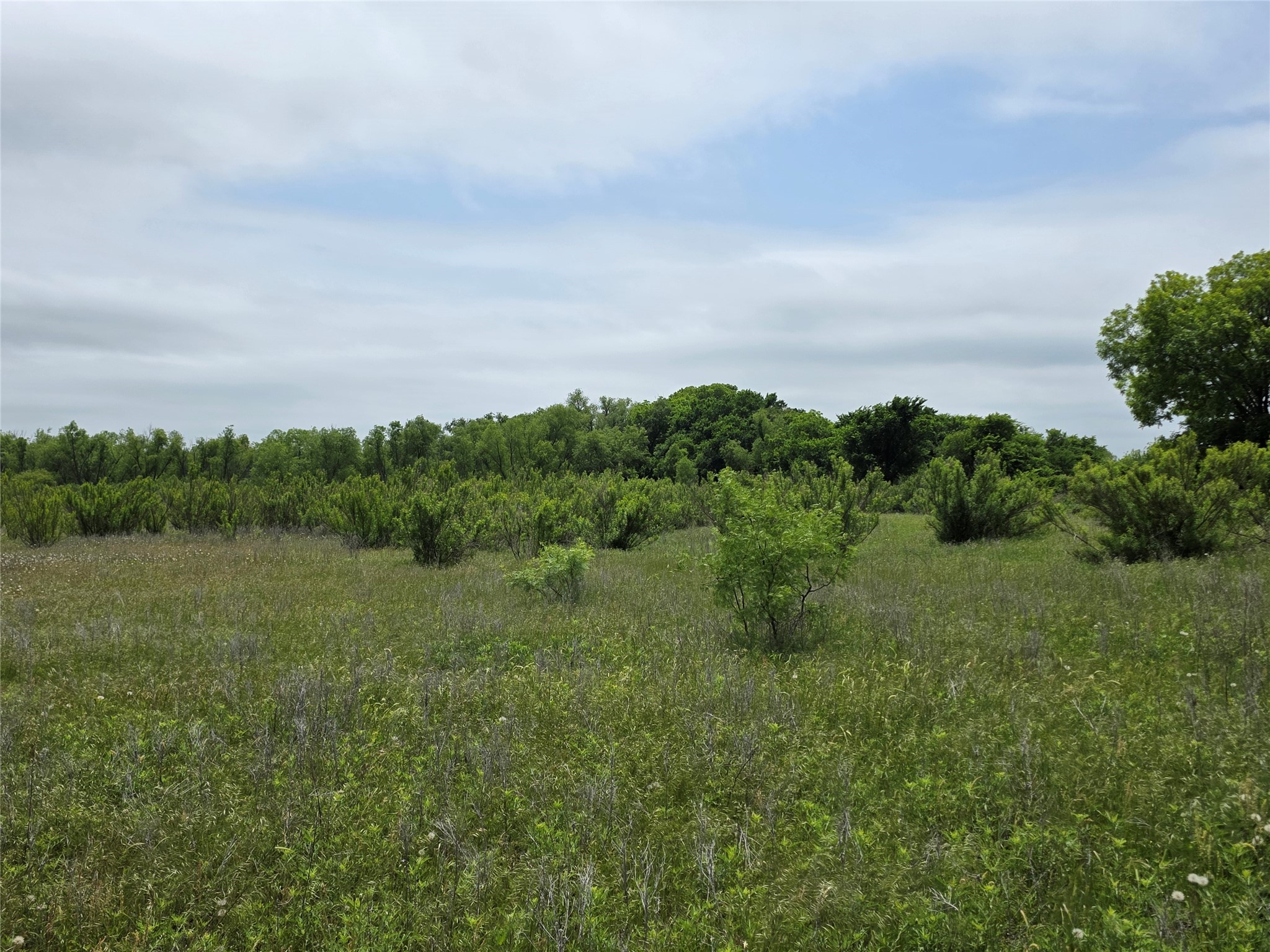 601 County Road 136 Comanche TX 76442